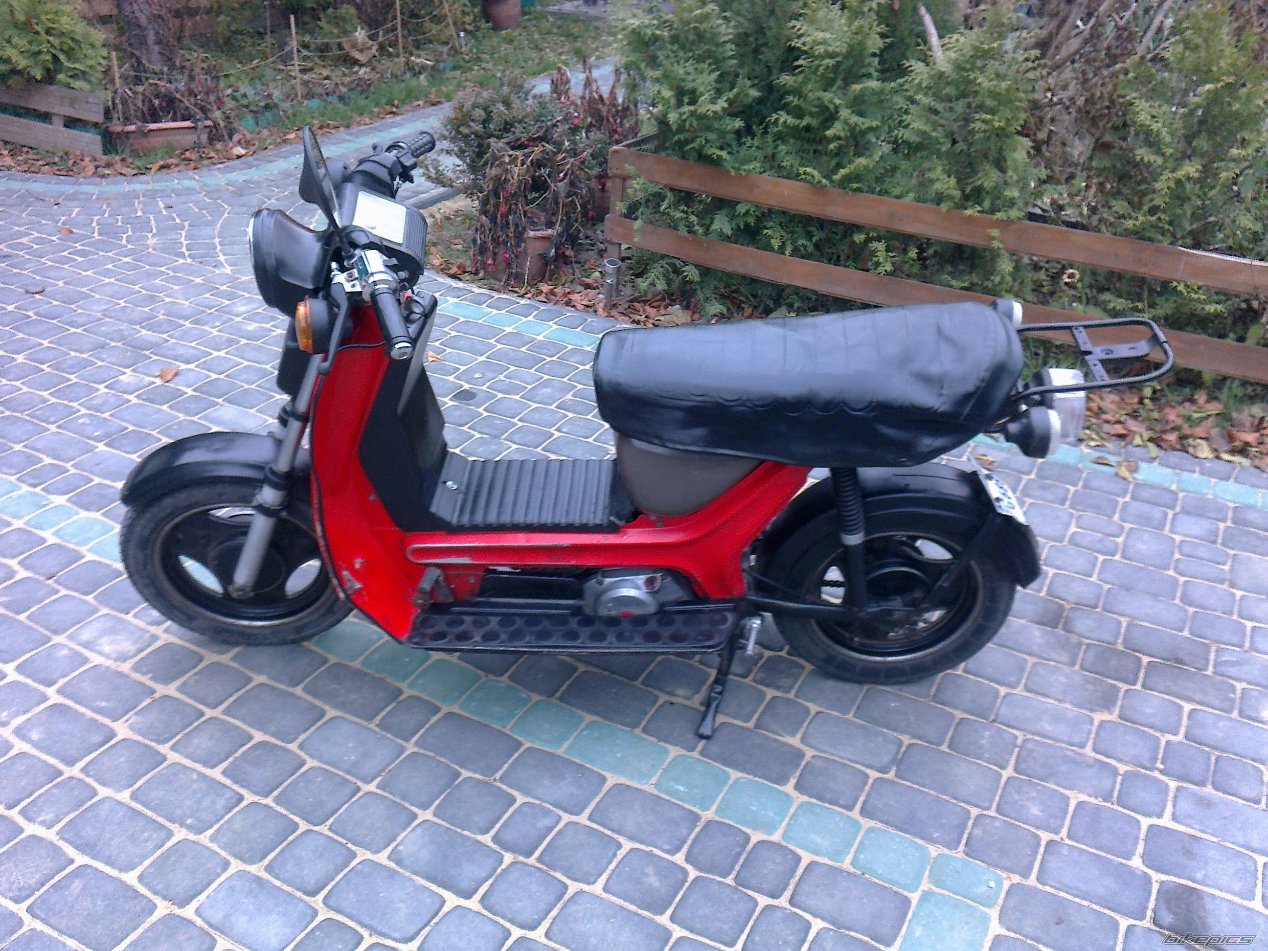 Photo 2346976