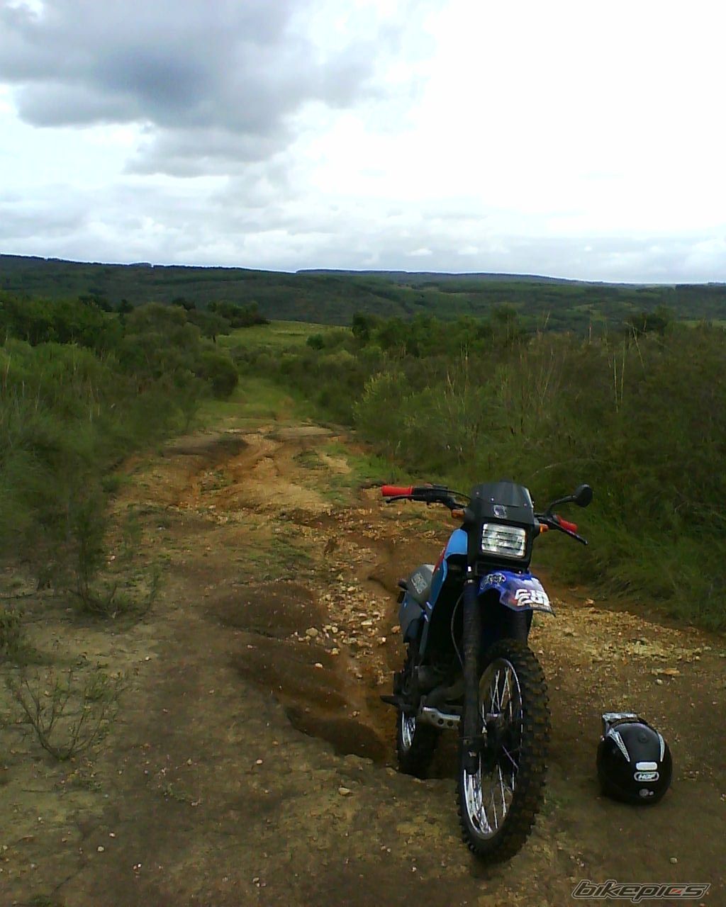 Photo 2346984