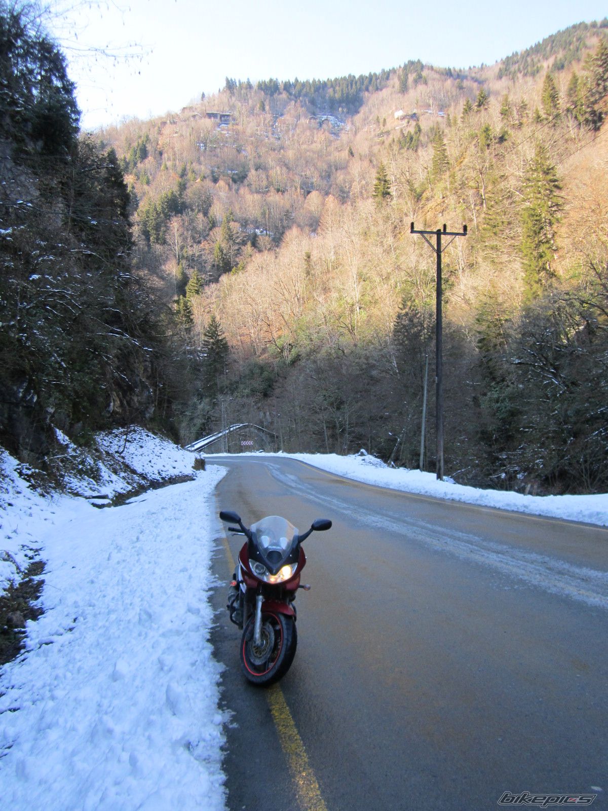 Photo 2347117