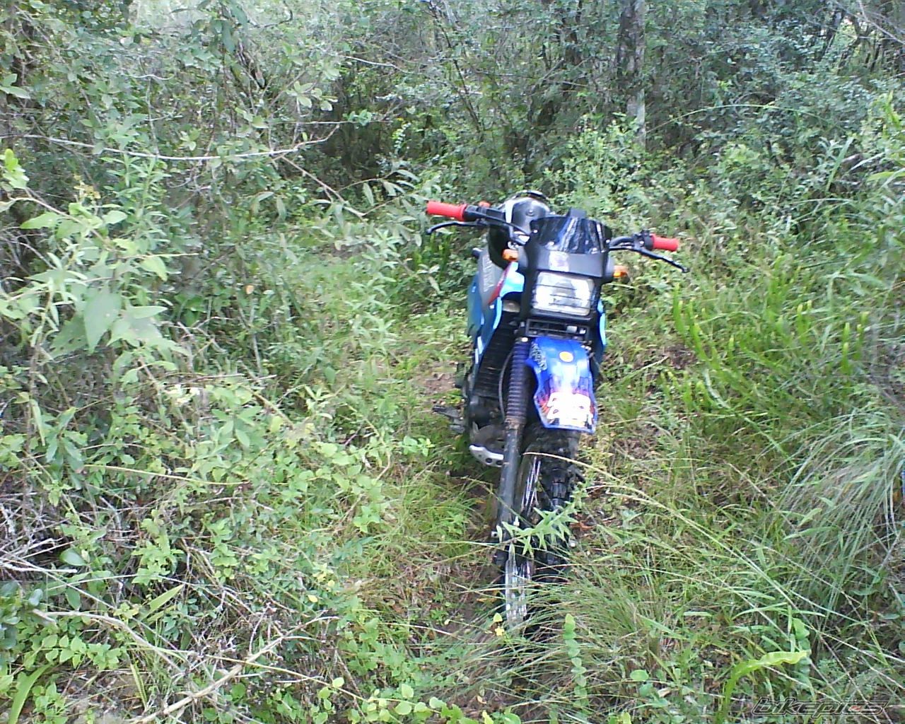 Bike Photo 2347144