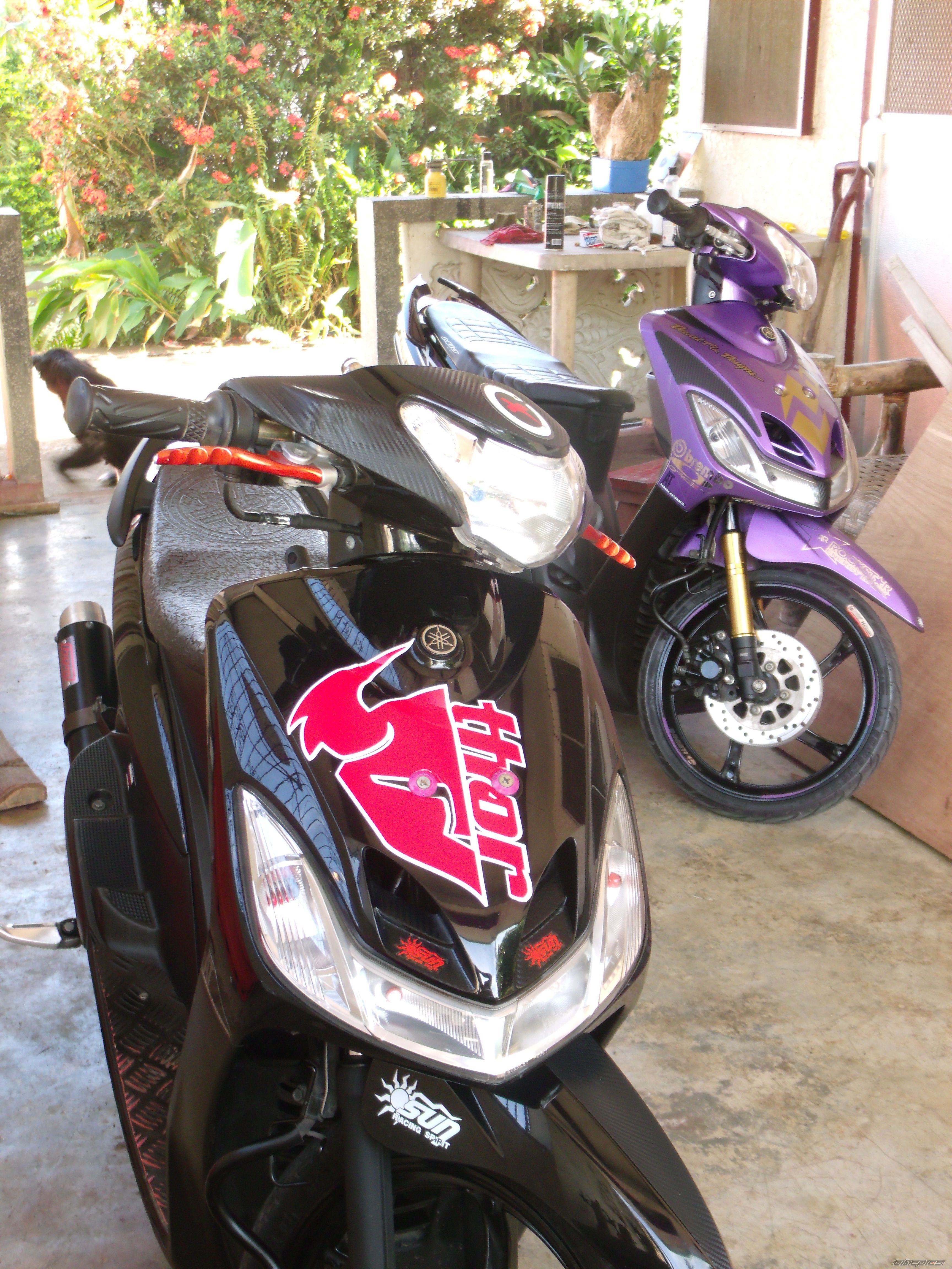 Photo 2347252