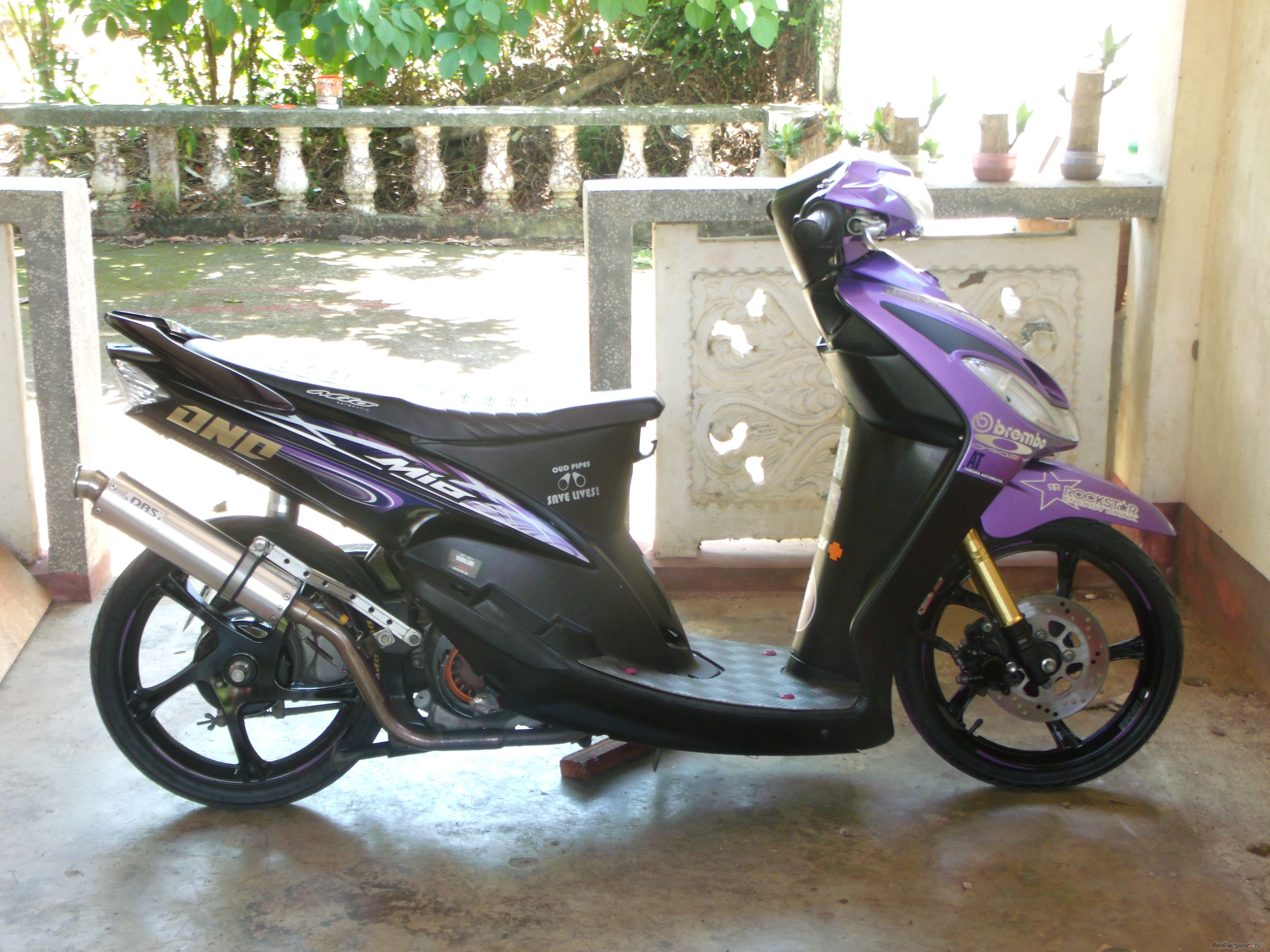Photo 2347254