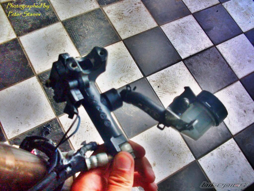 Photo 2347260