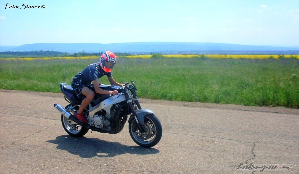 Photo 2347271