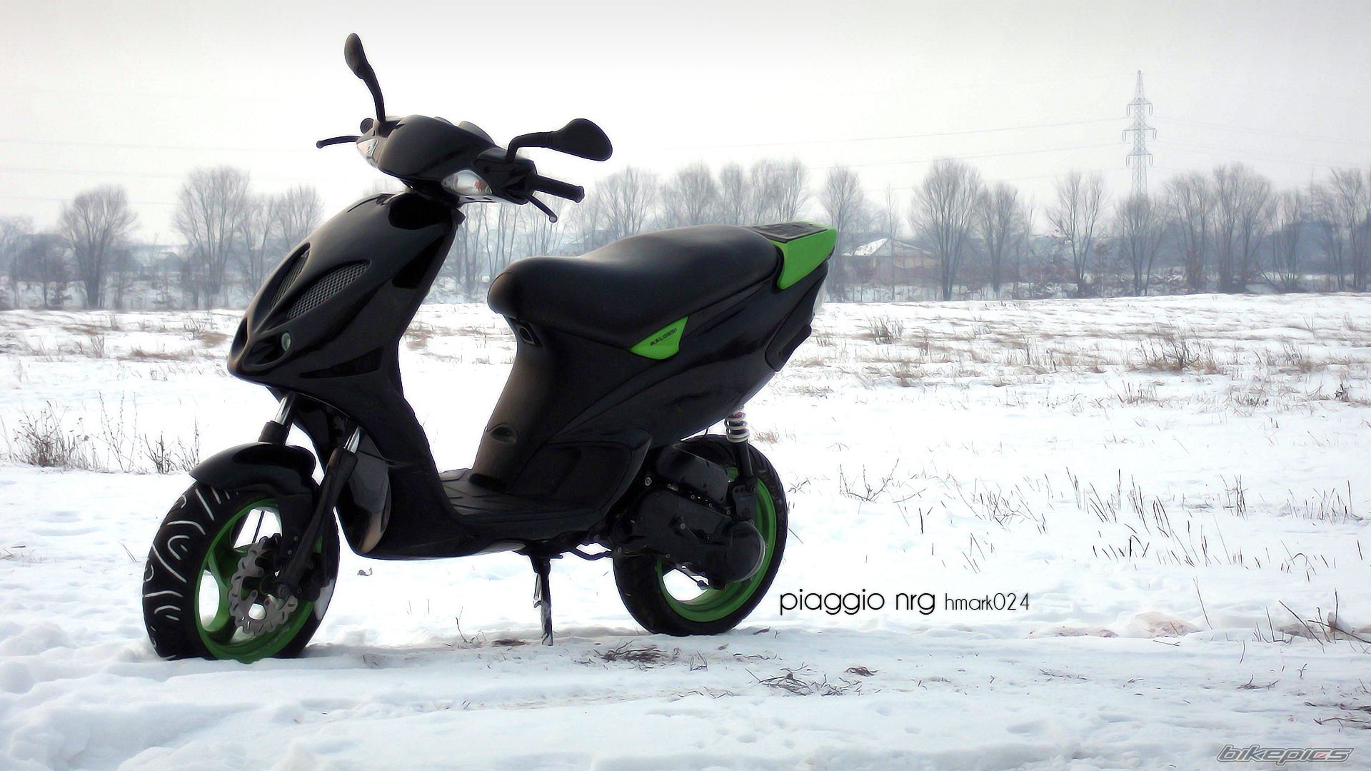 Photo 2347392
