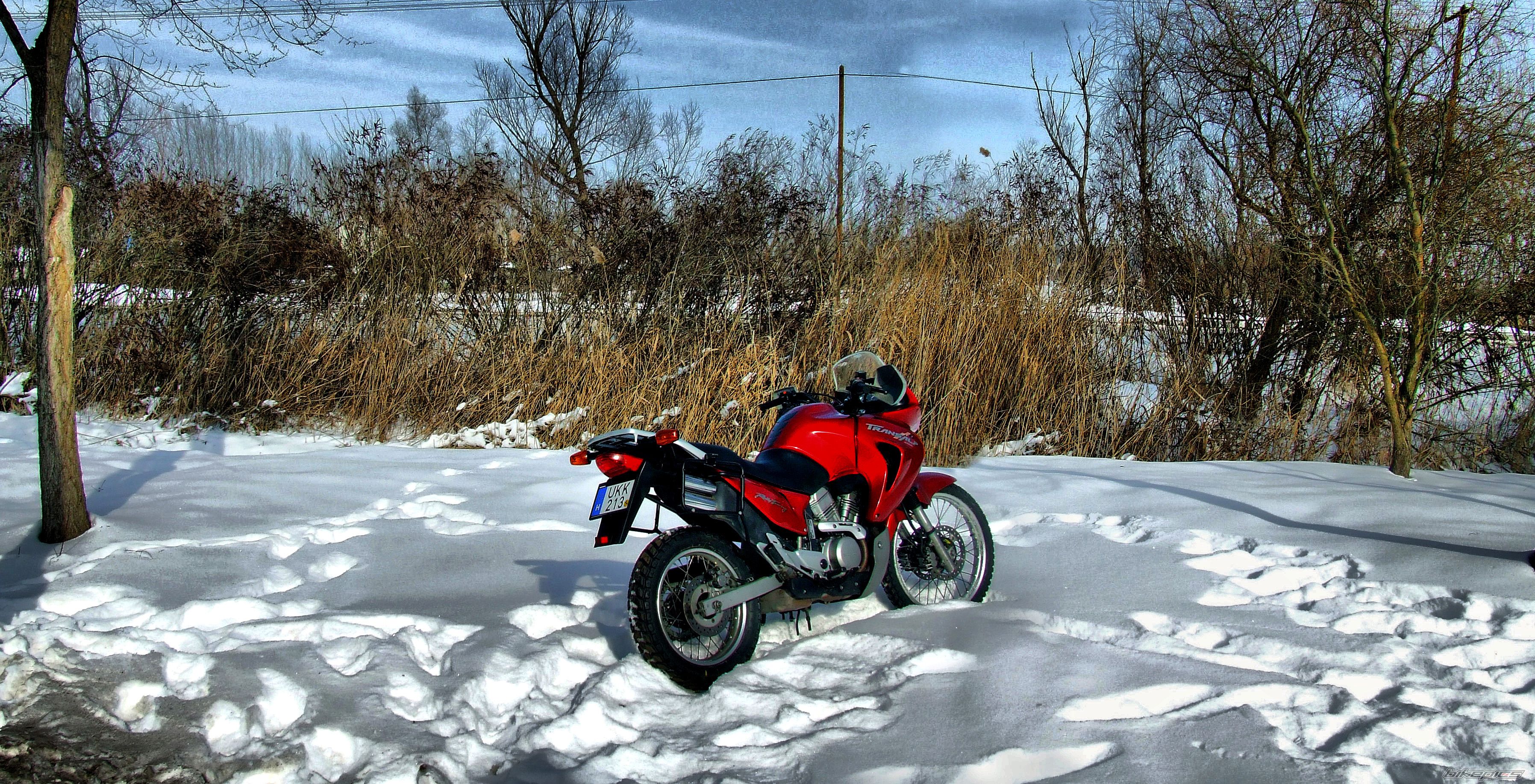 Photo 2347409