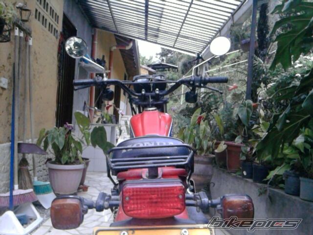 Photo 2347421