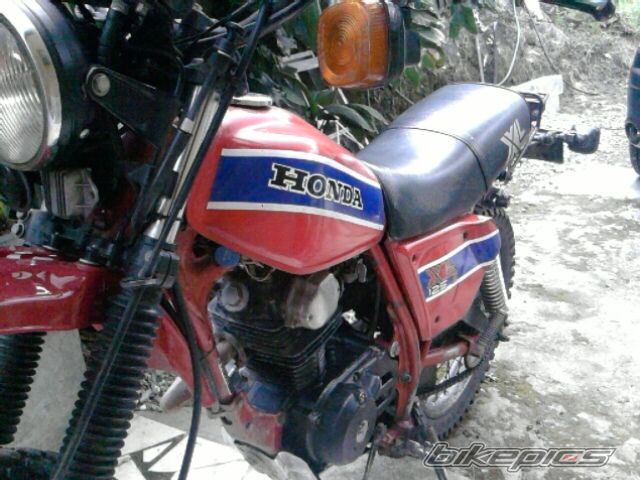Photo 2347426