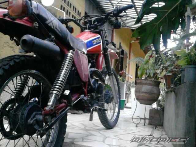 Photo 2347428