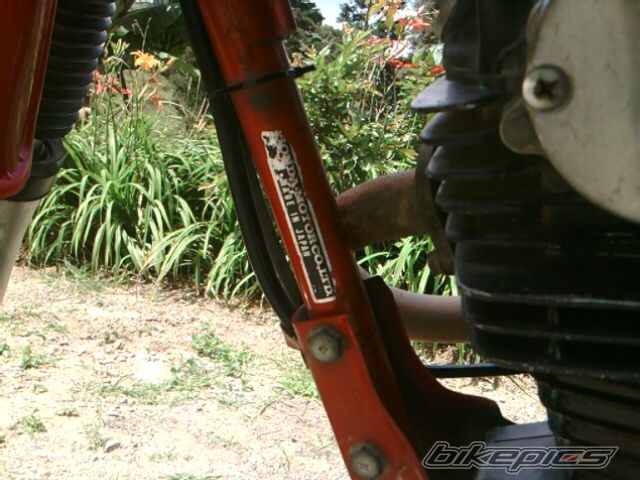 Photo 2347444