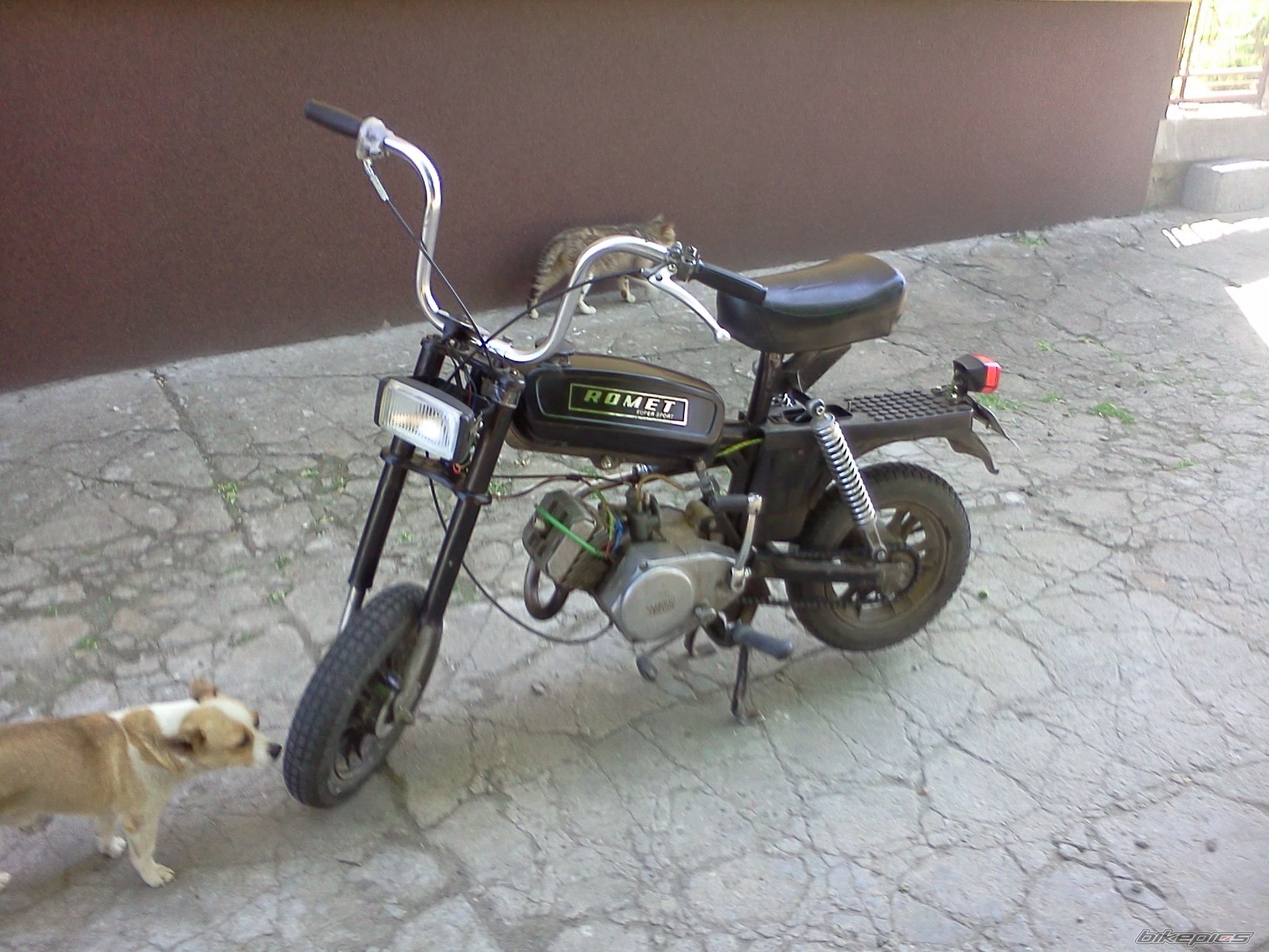 Photo 2347453