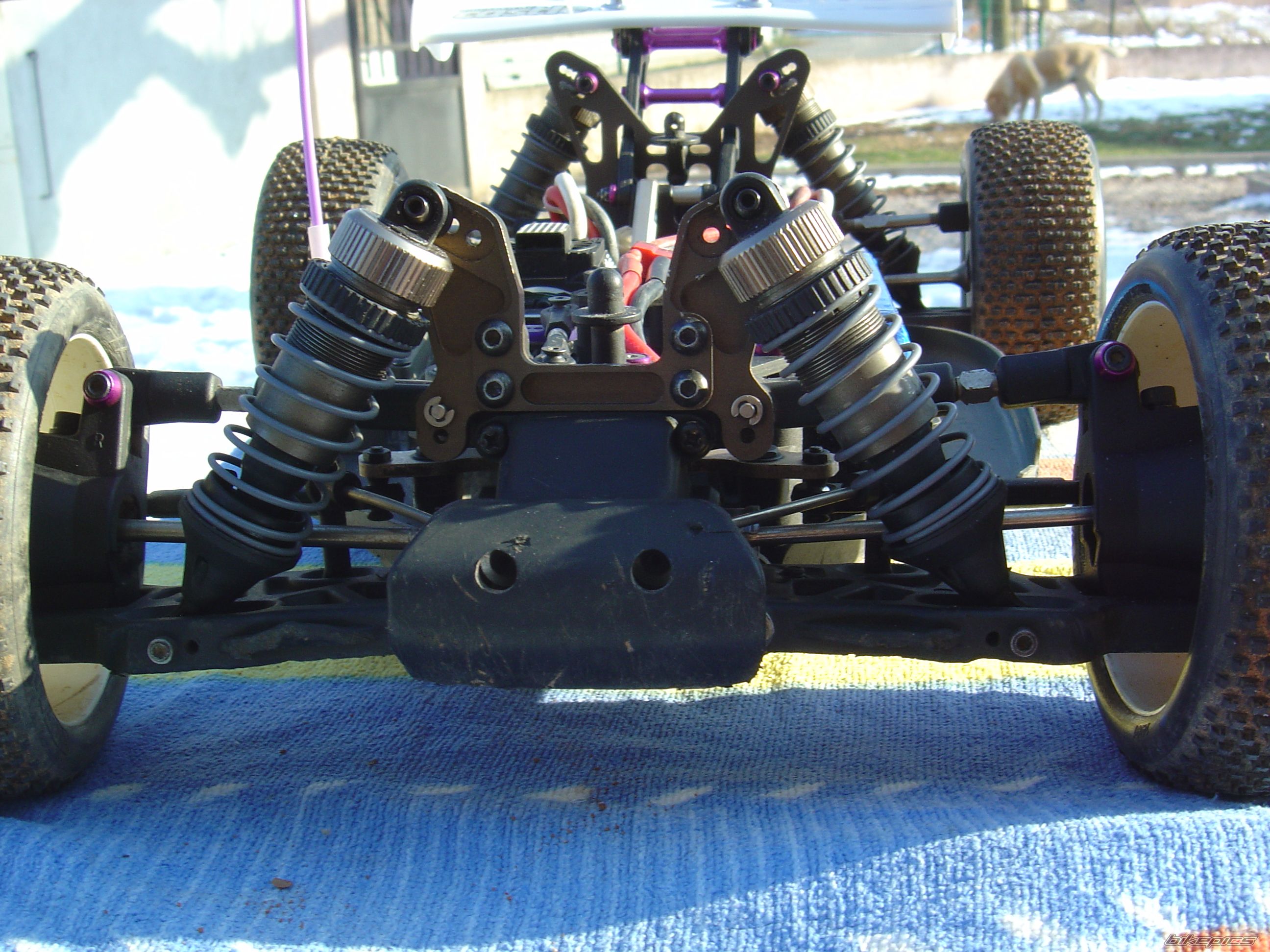 Photo 2347525