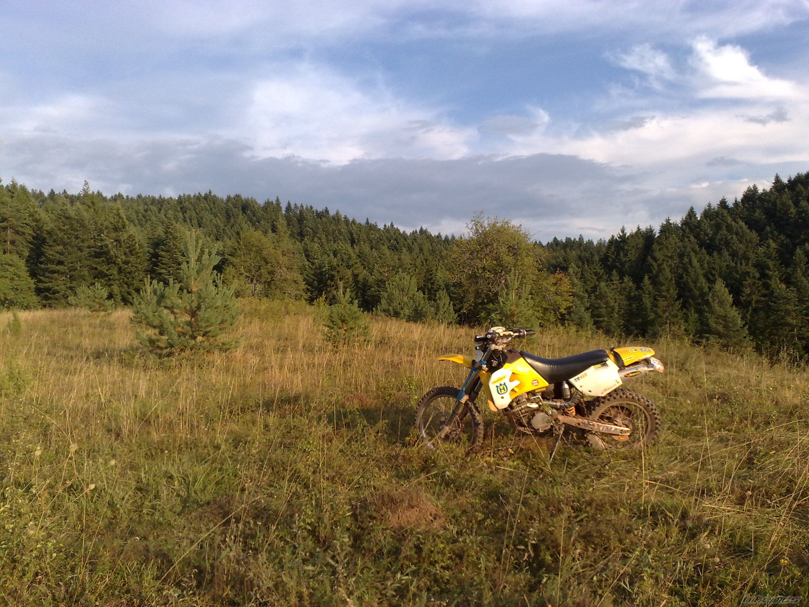Photo 2347534
