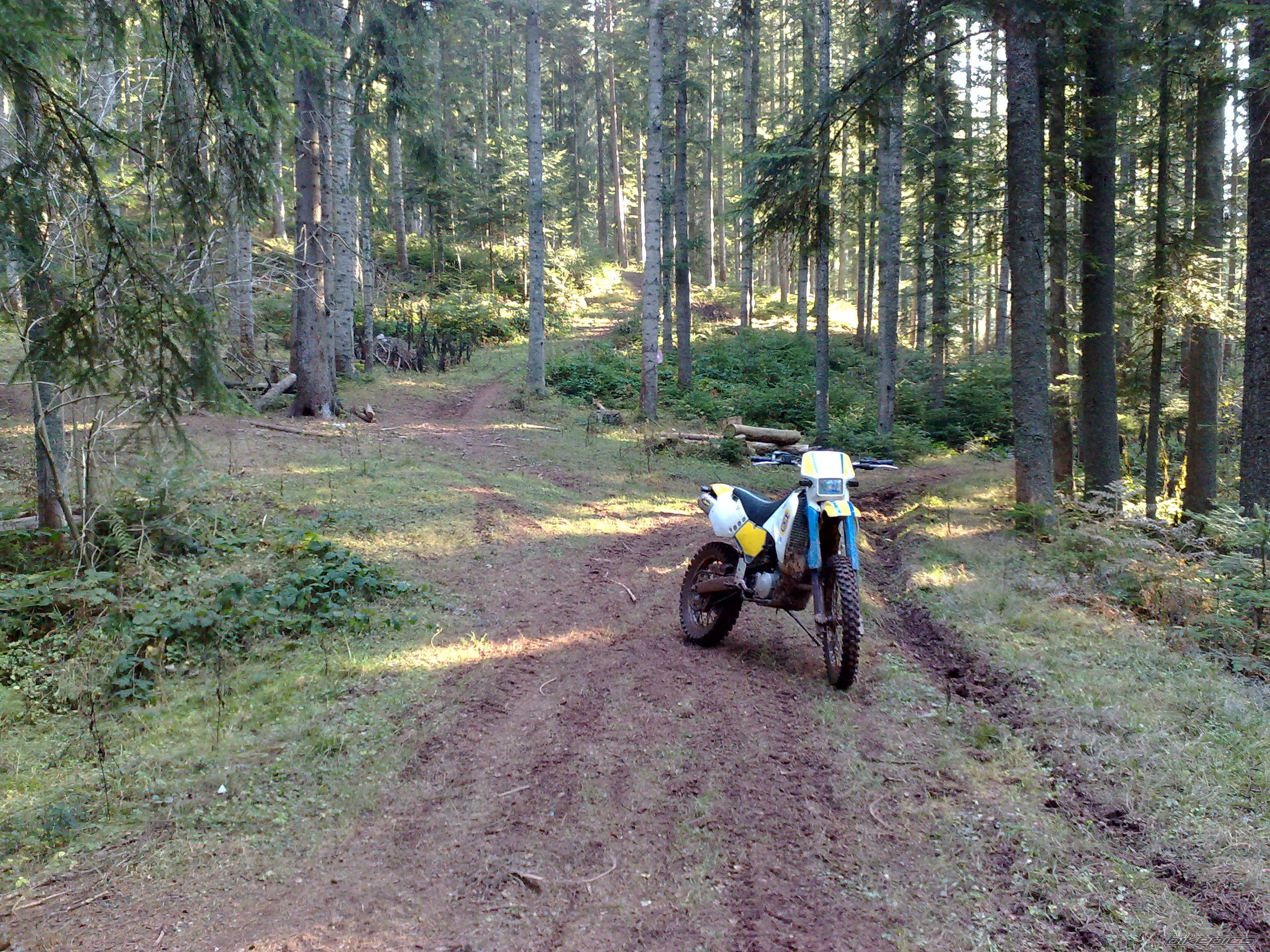 Photo 2347536
