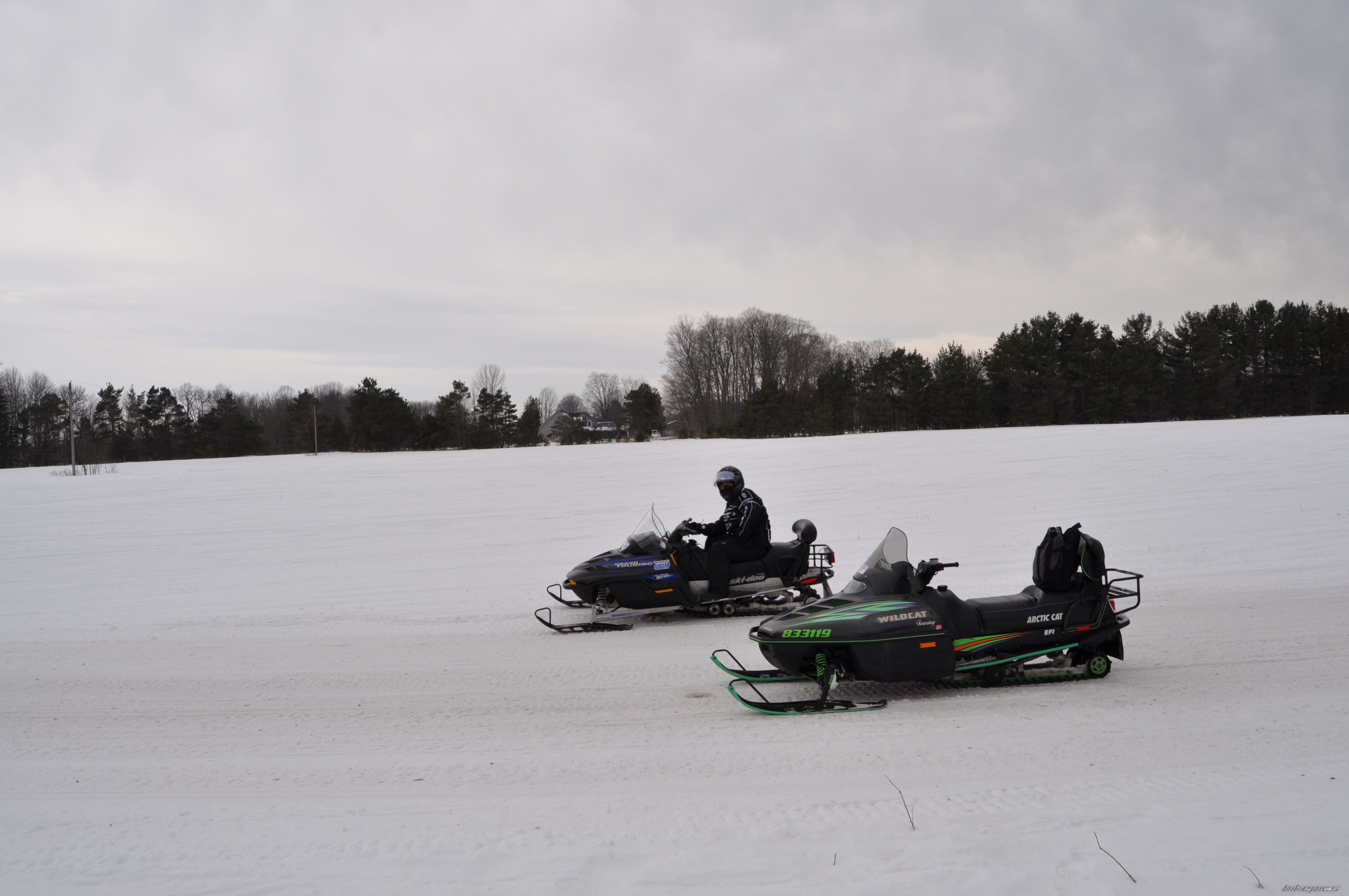Photo 2347552