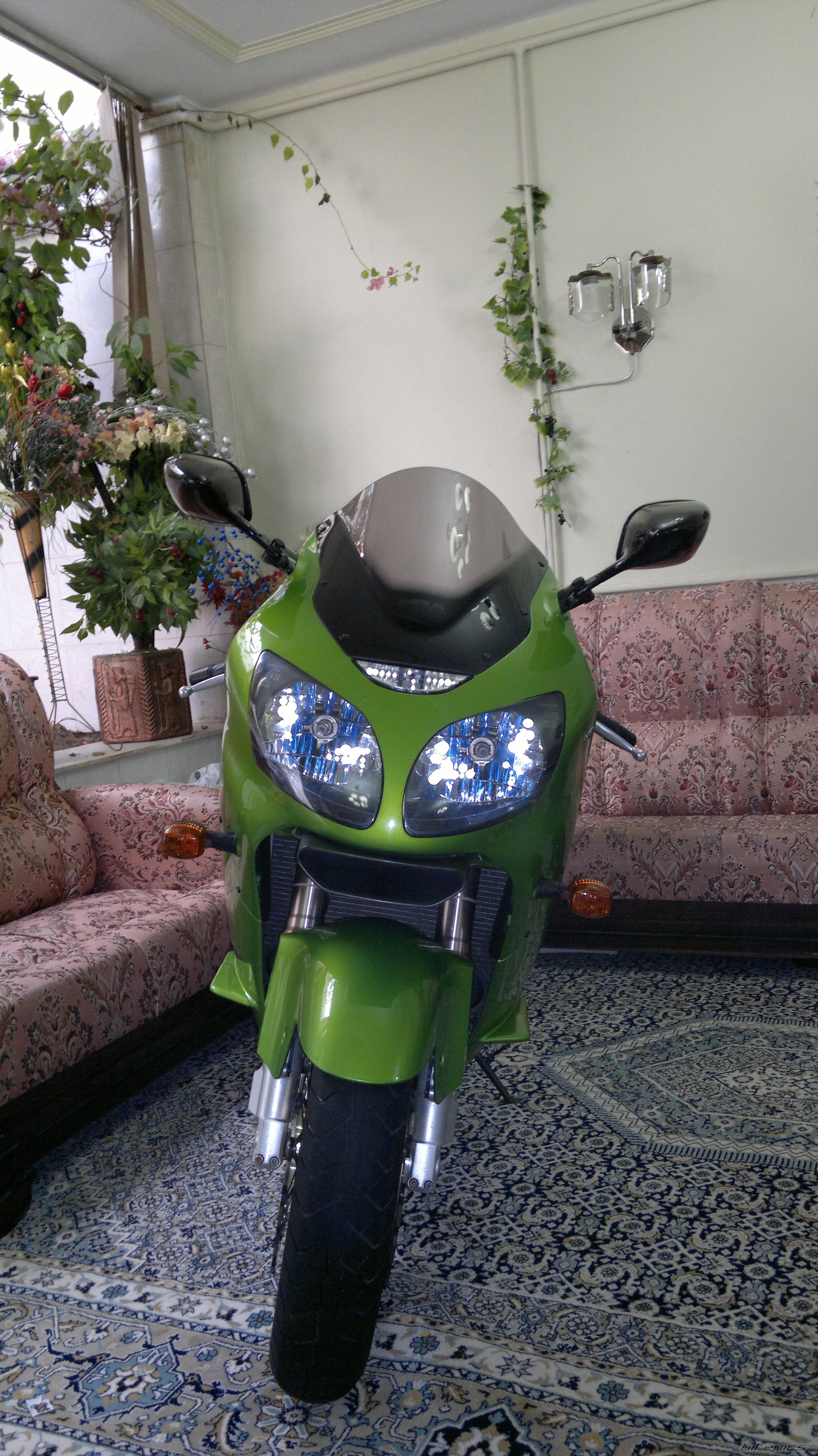 Photo 2347575