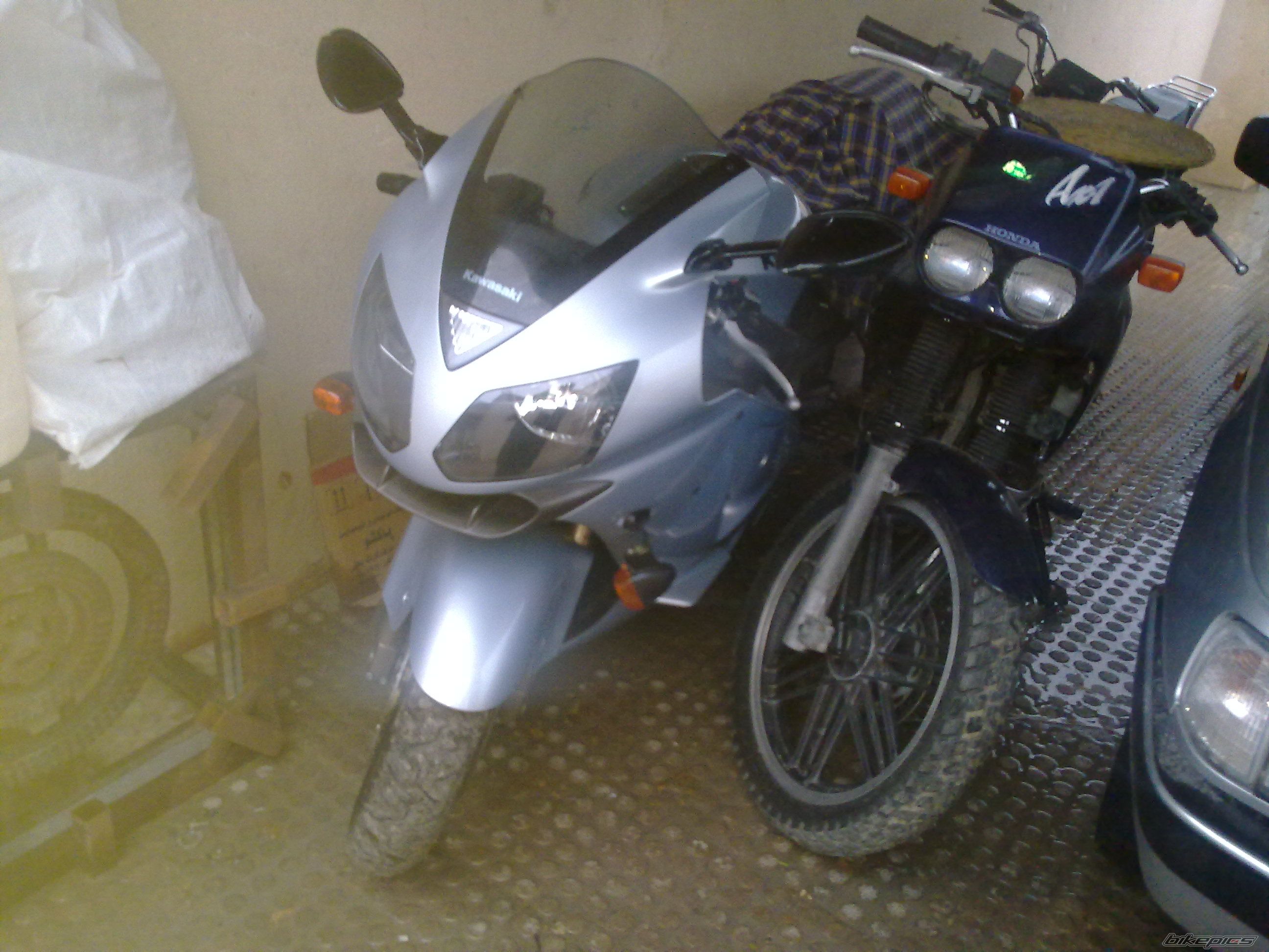Photo 2347584