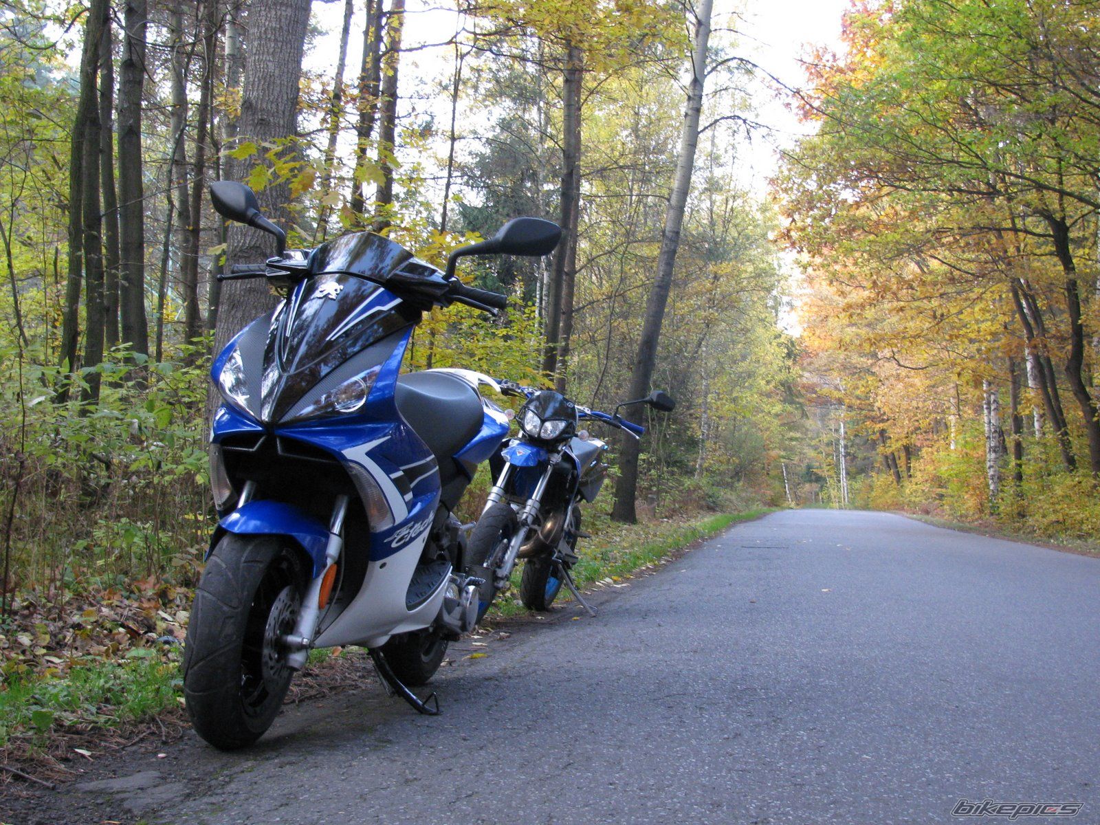 Photo 2347611