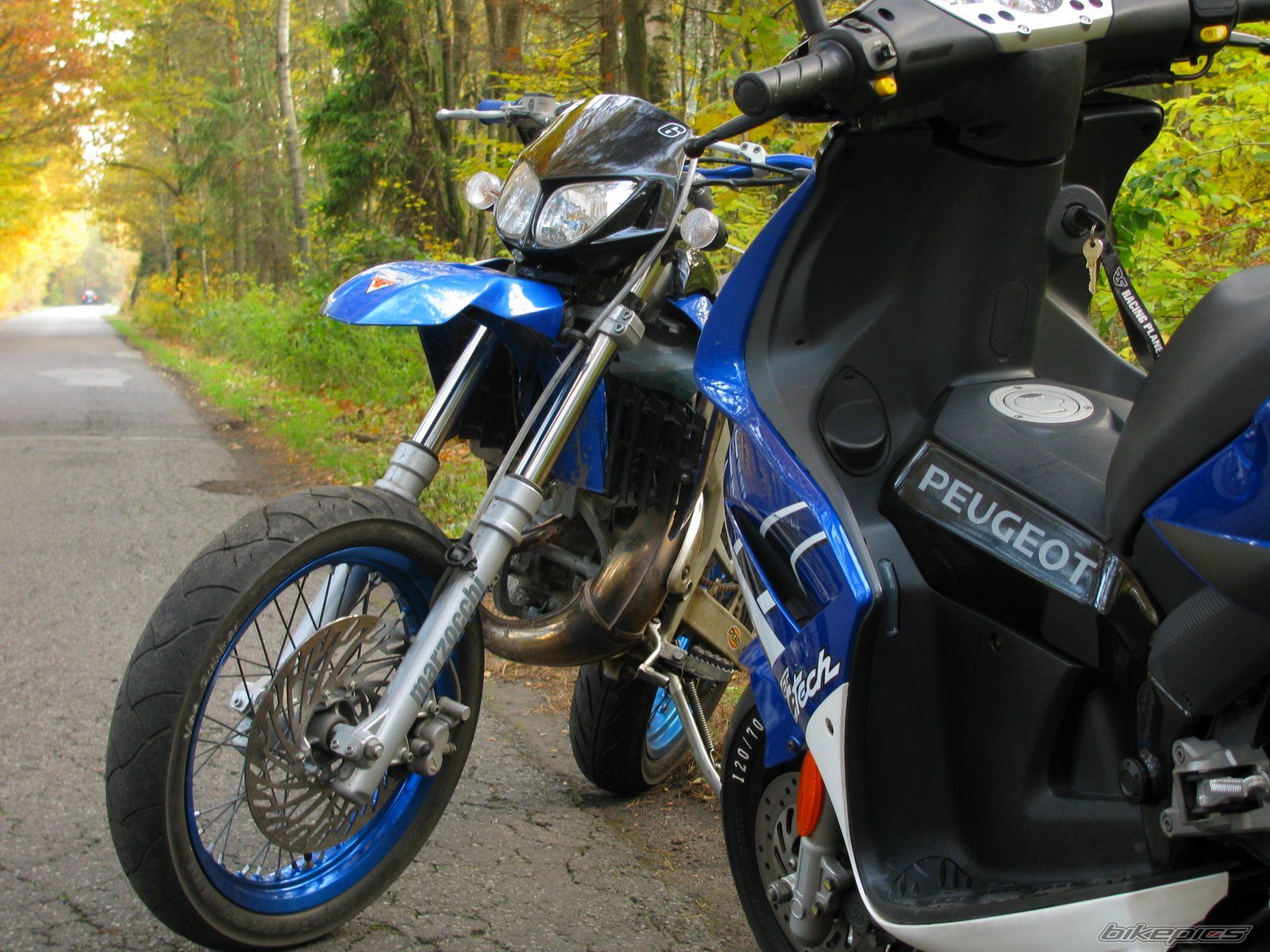 Photo 2347621