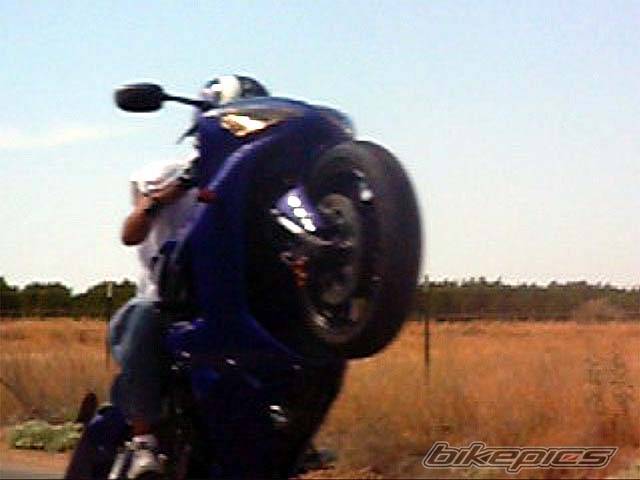 Photo 234765