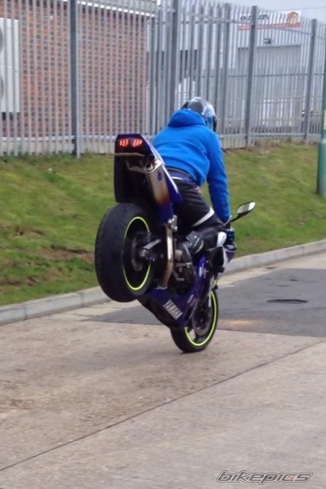 Photo 2347890