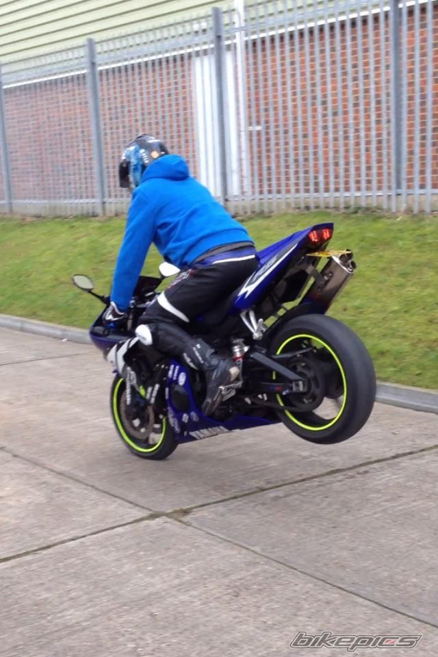 Photo 2347893