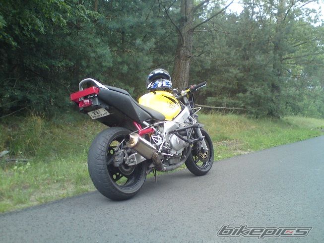 Photo 2348082