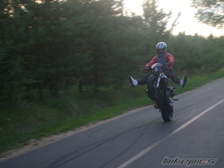 Photo 2348085