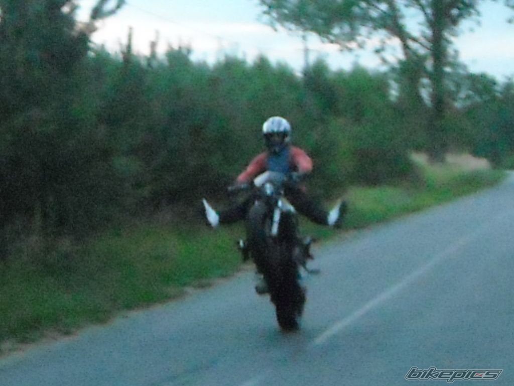 Photo 2348088