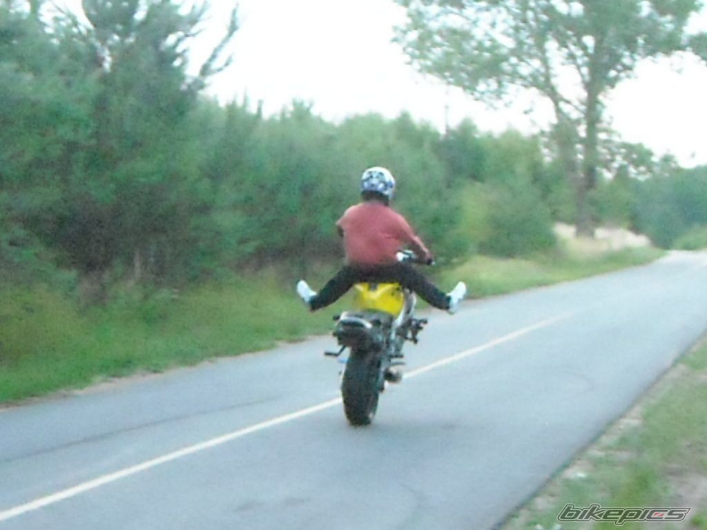 Photo 2348091
