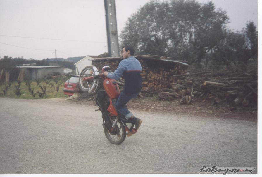 Photo 234811