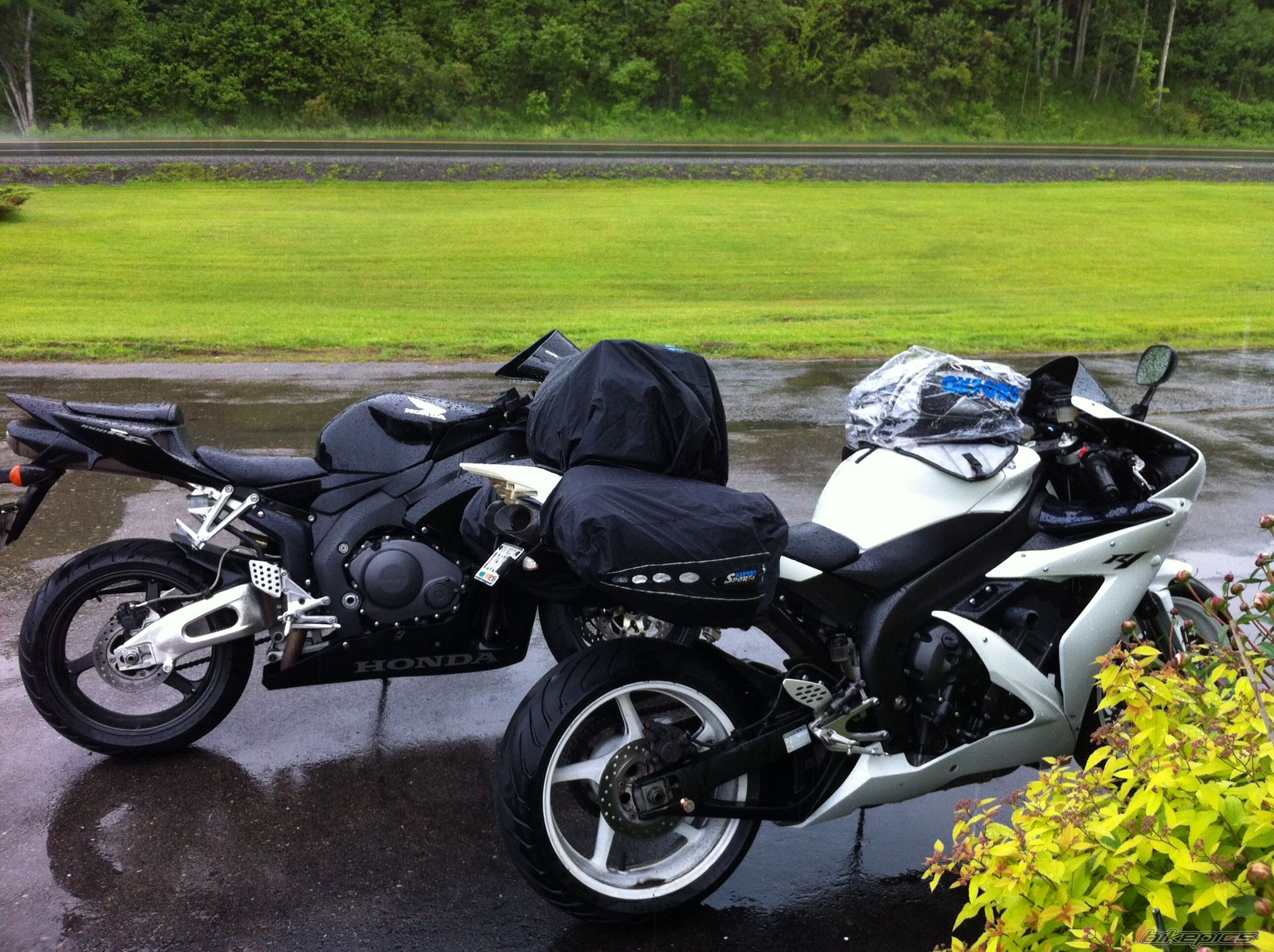 Photo 2348154