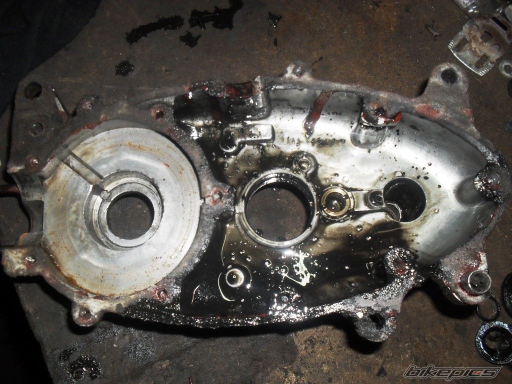 Photo 2348220