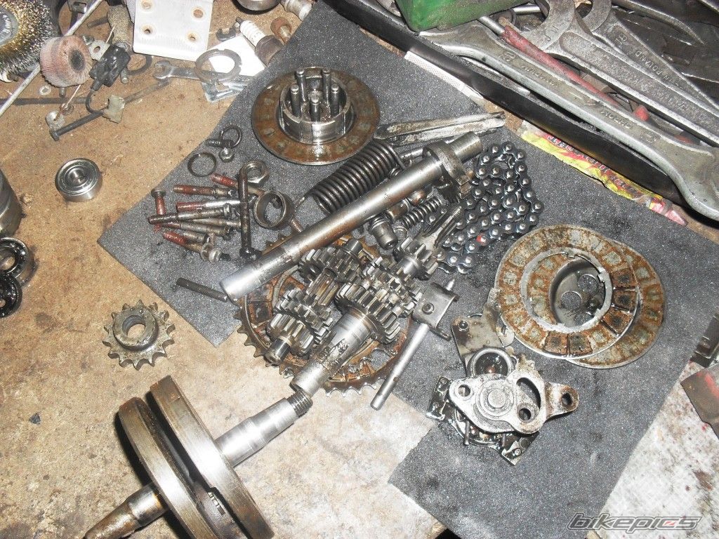 Photo 2348221