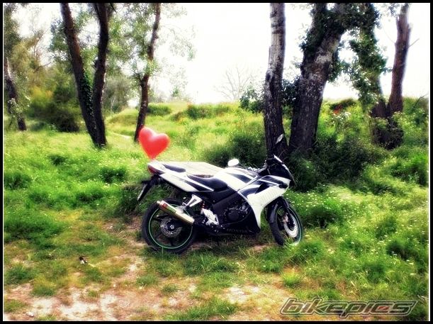 Photo 2348244