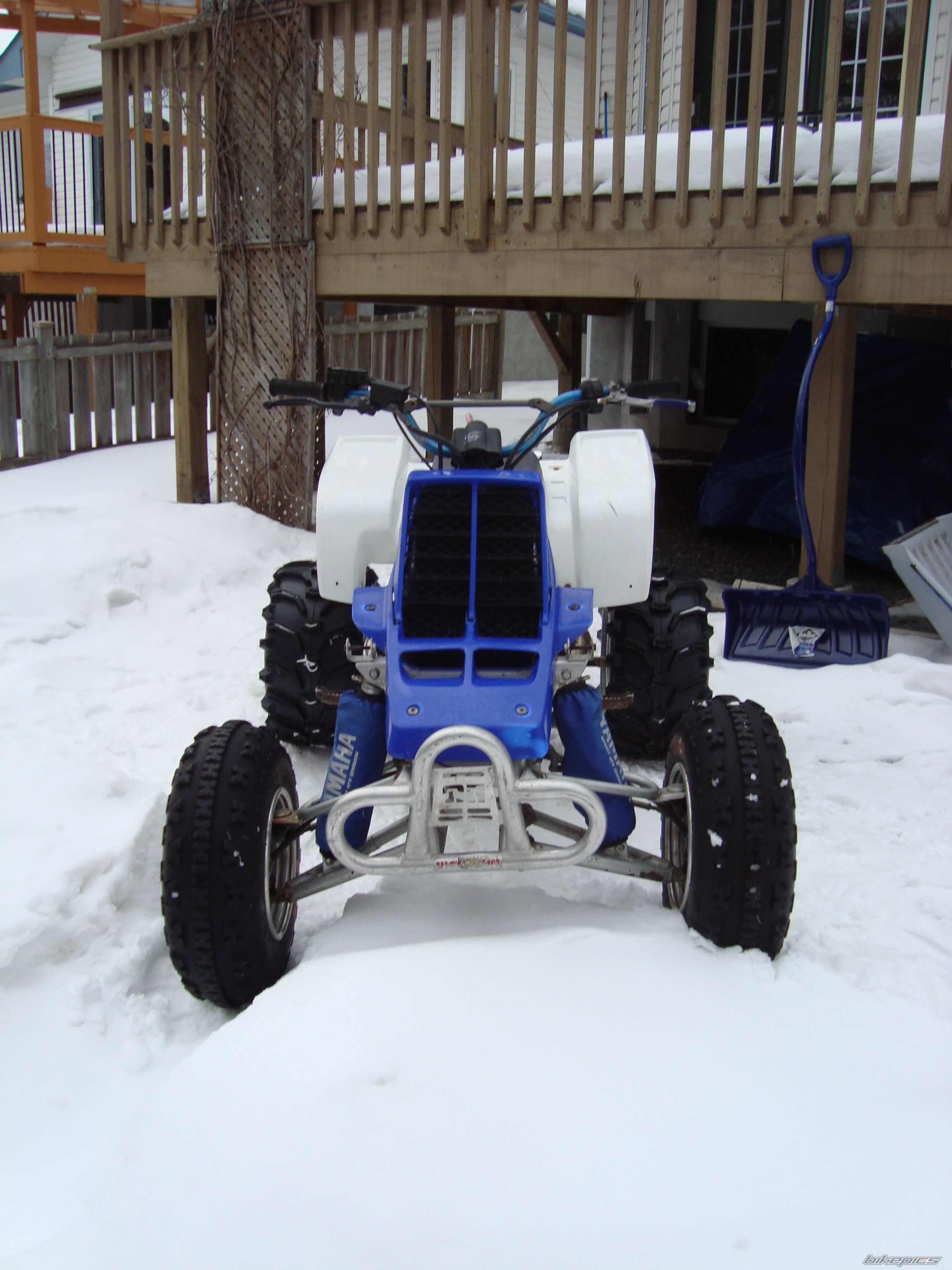 Photo 2348249
