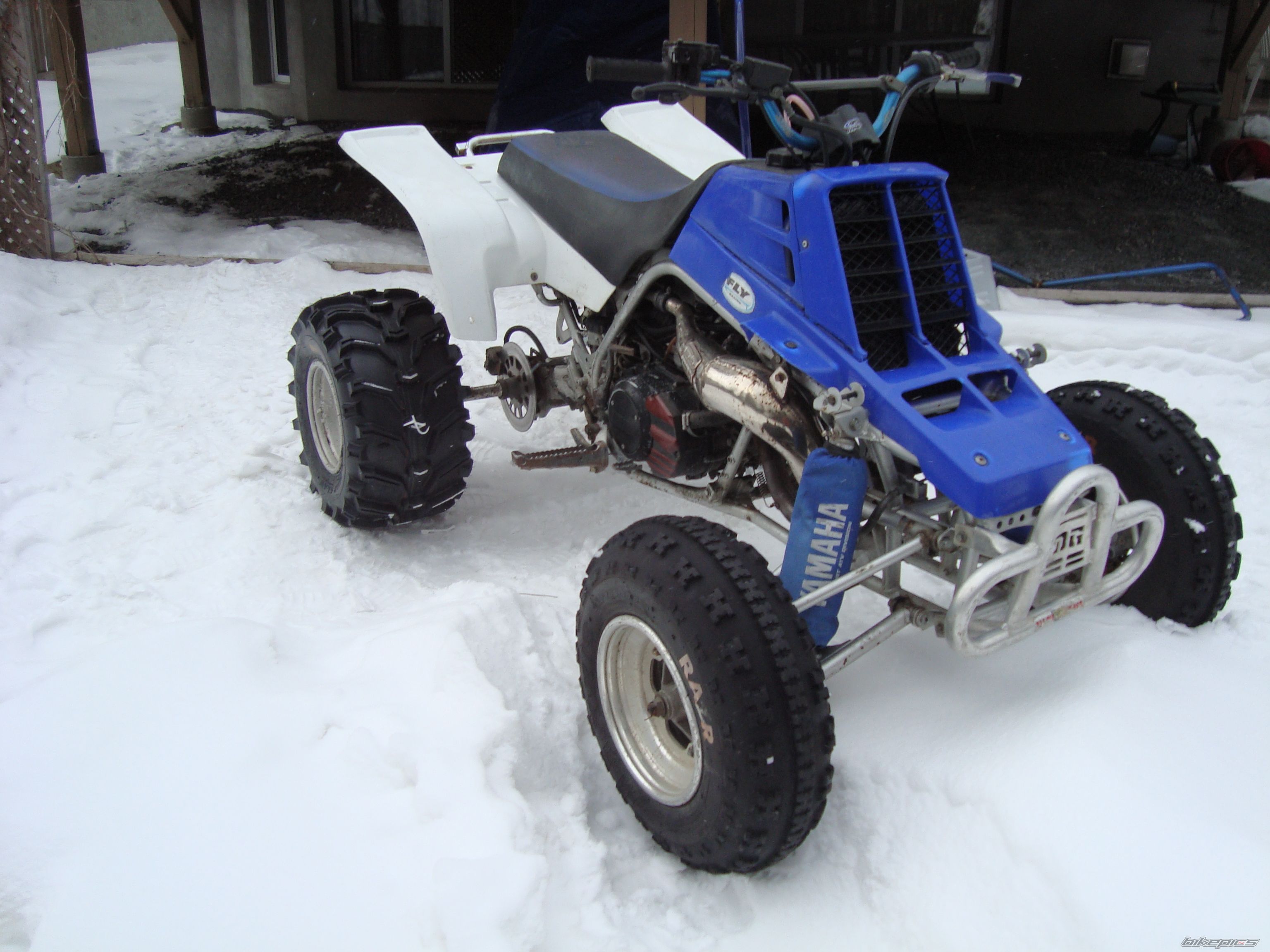 Photo 2348252