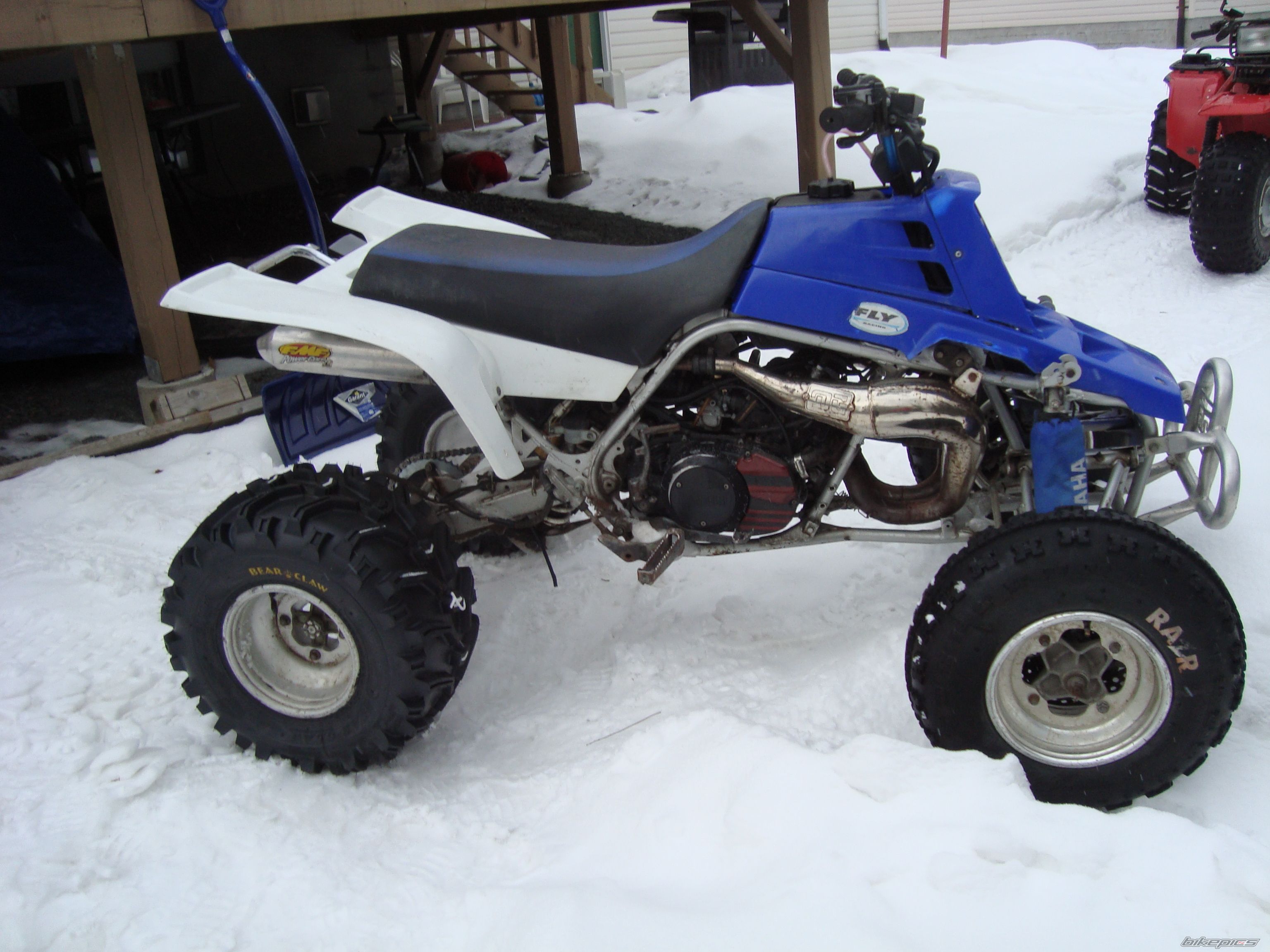 Photo 2348254