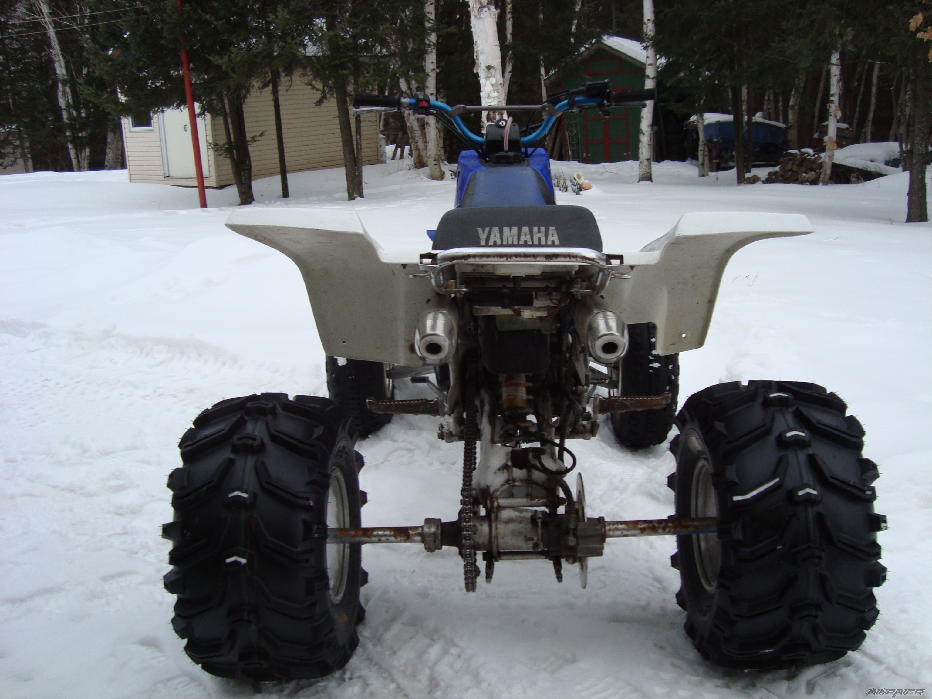 Photo 2348255