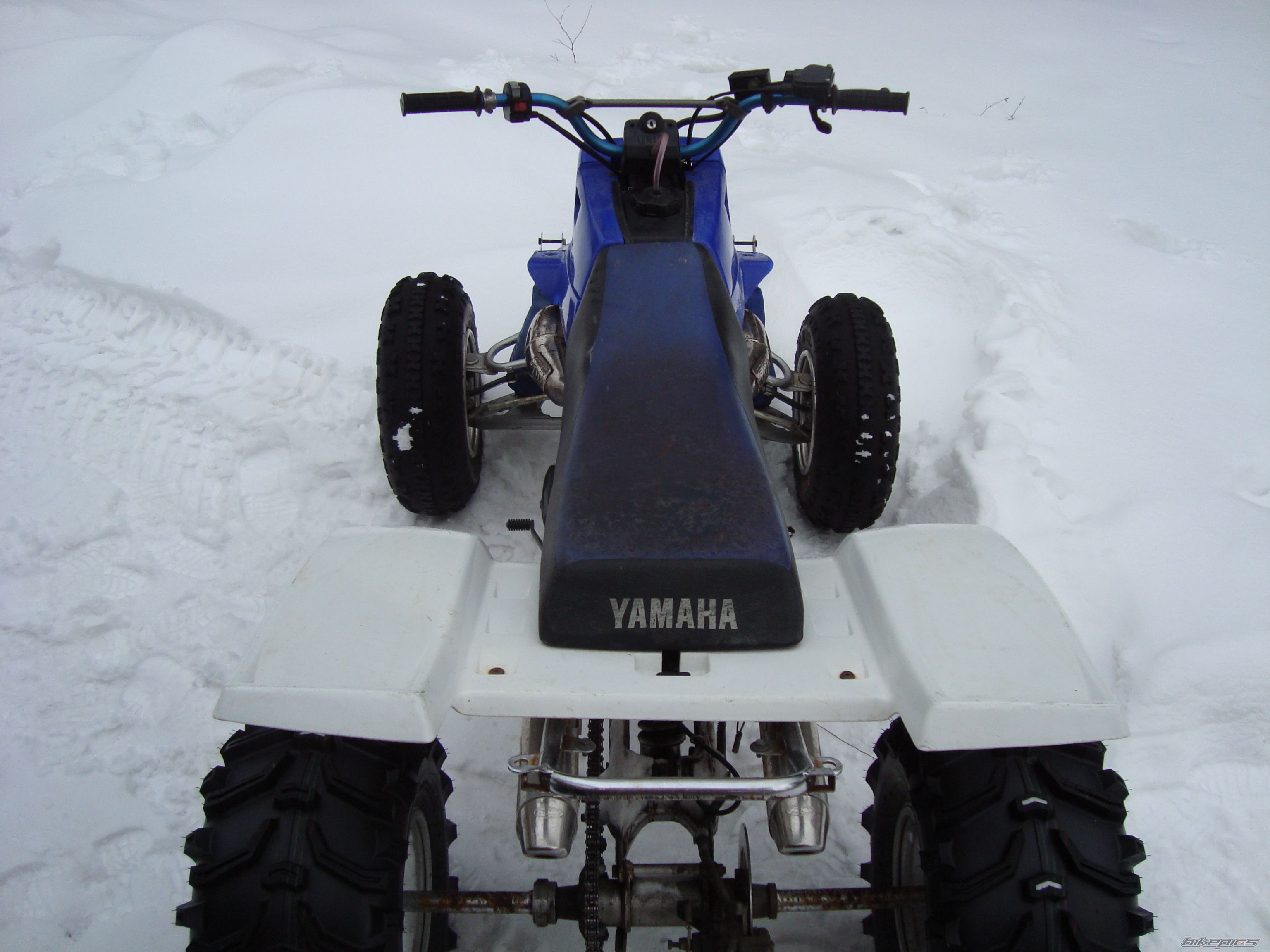 Photo 2348256