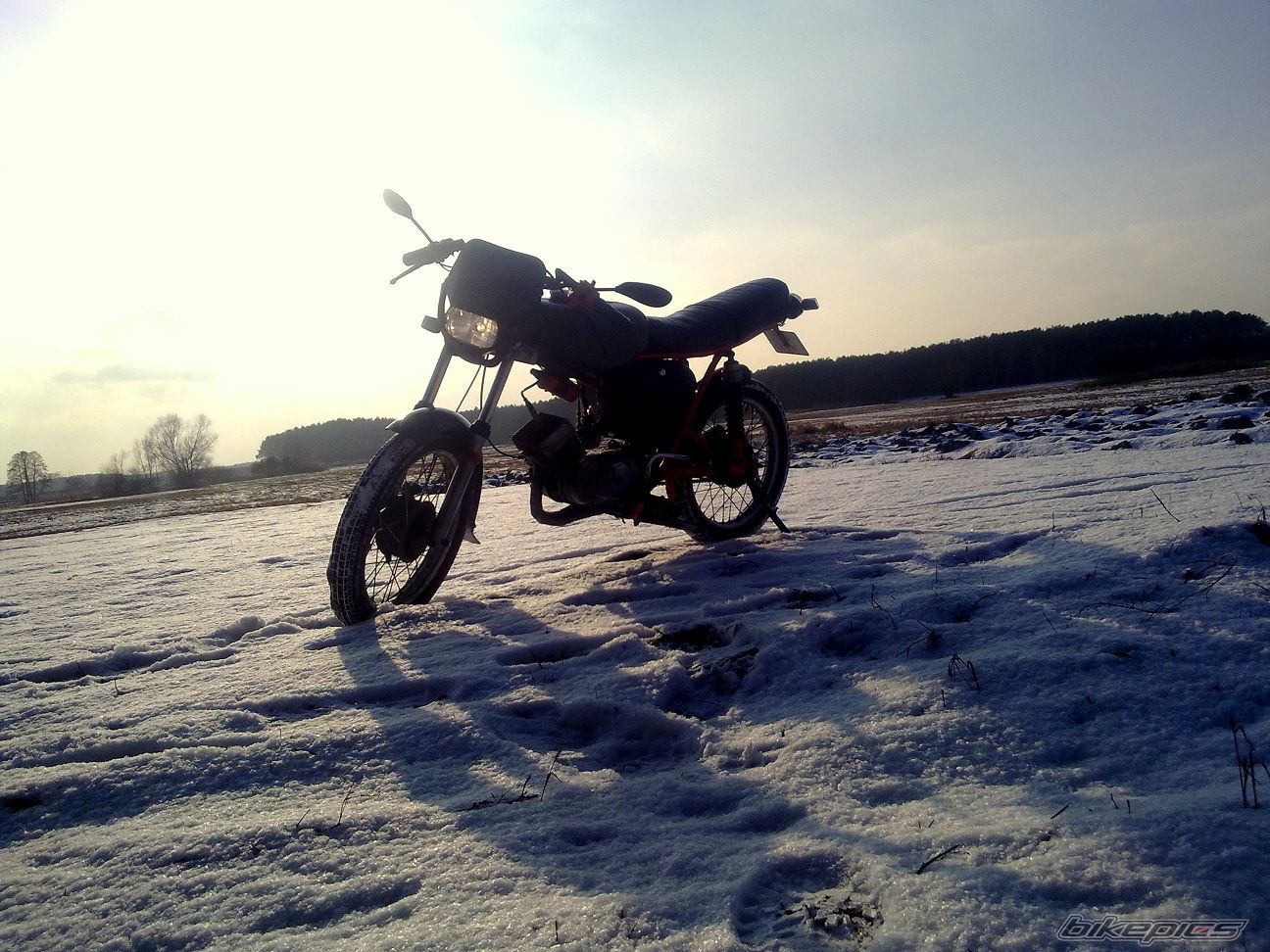 Photo 2348260