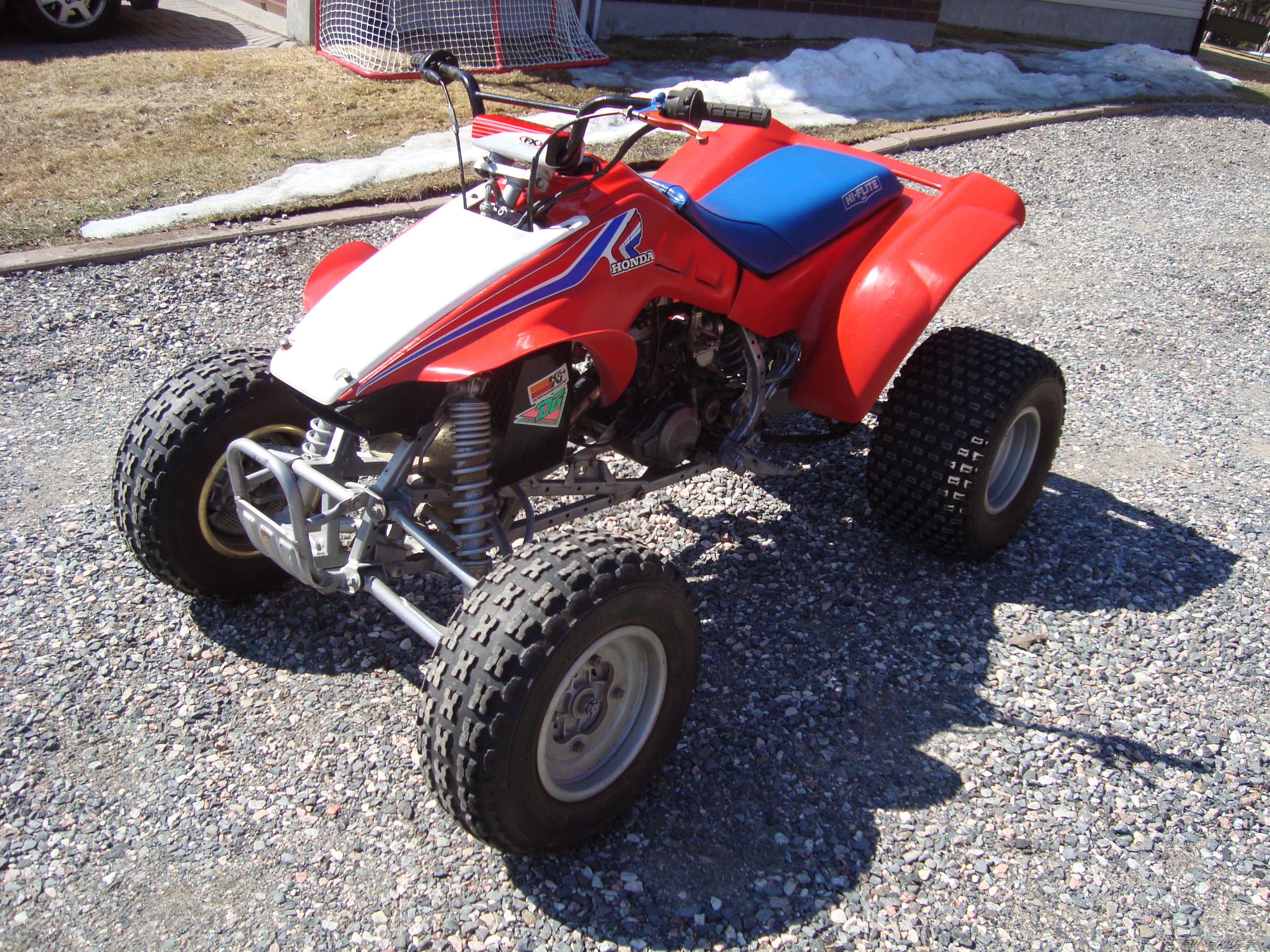Photo 2348272