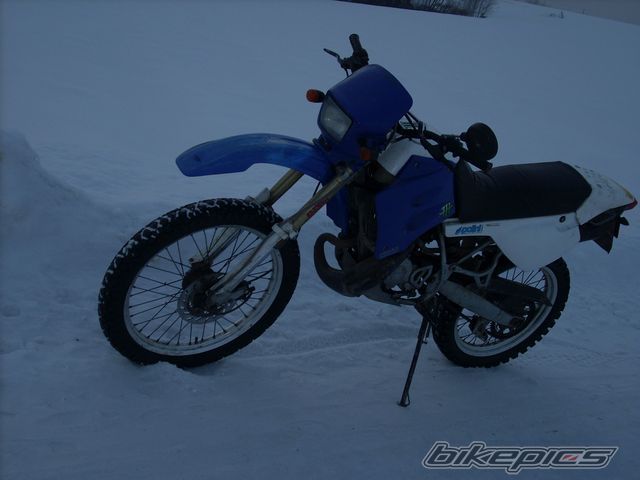 Photo 2348273