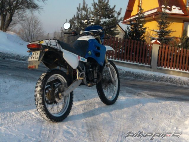 Photo 2348290