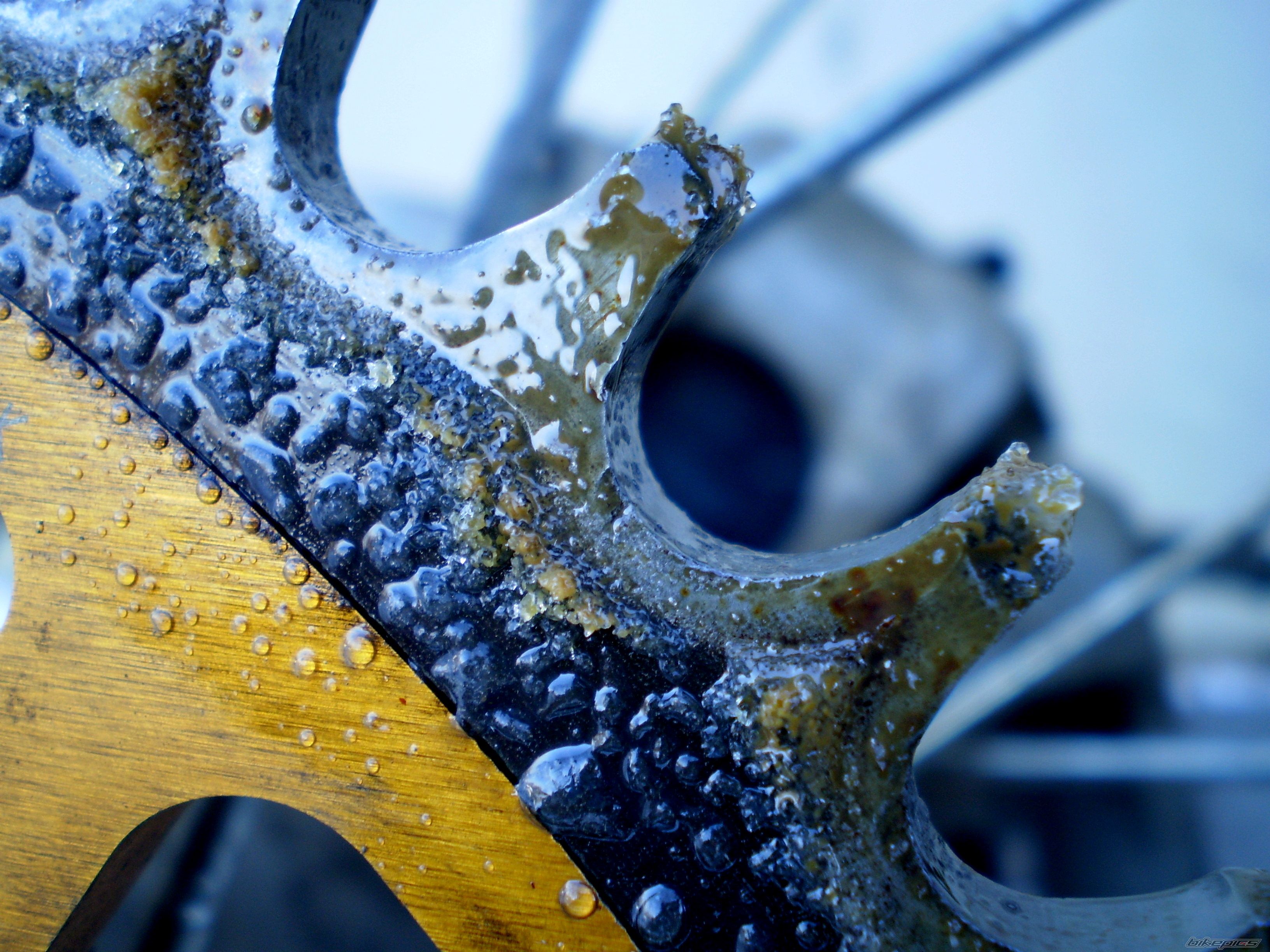 Bike Photo 2348299