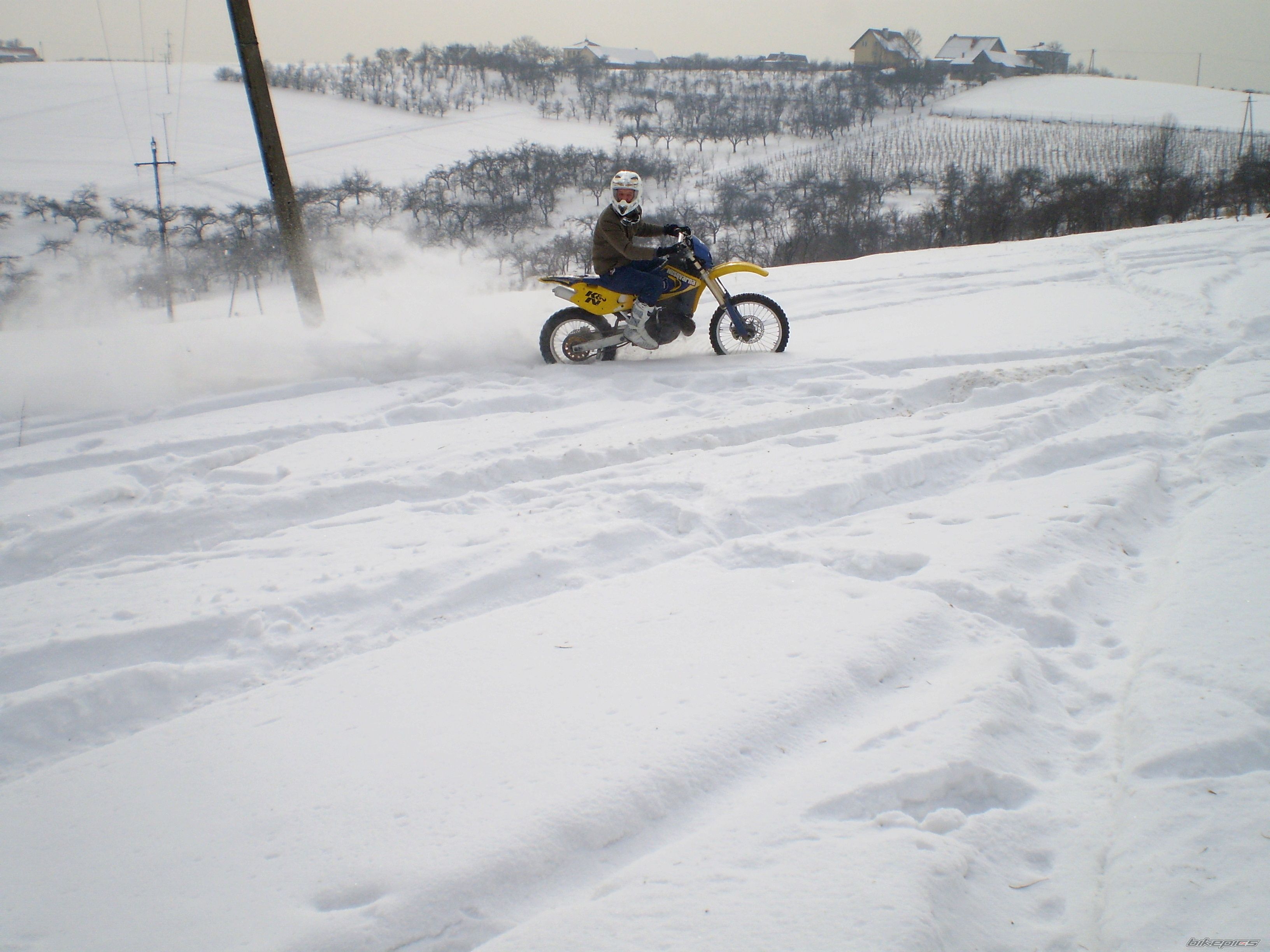 Photo 2348301