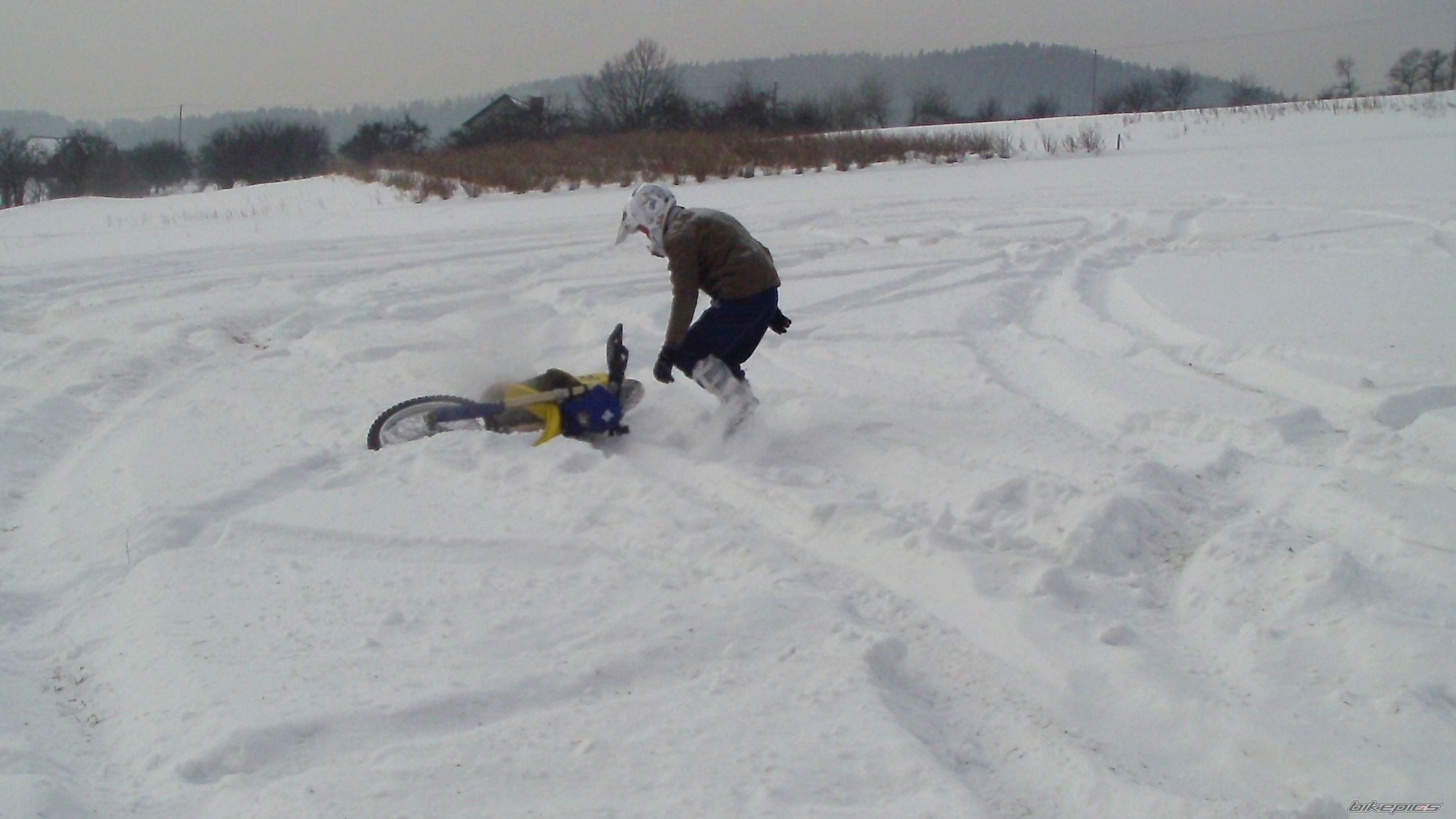 Photo 2348306
