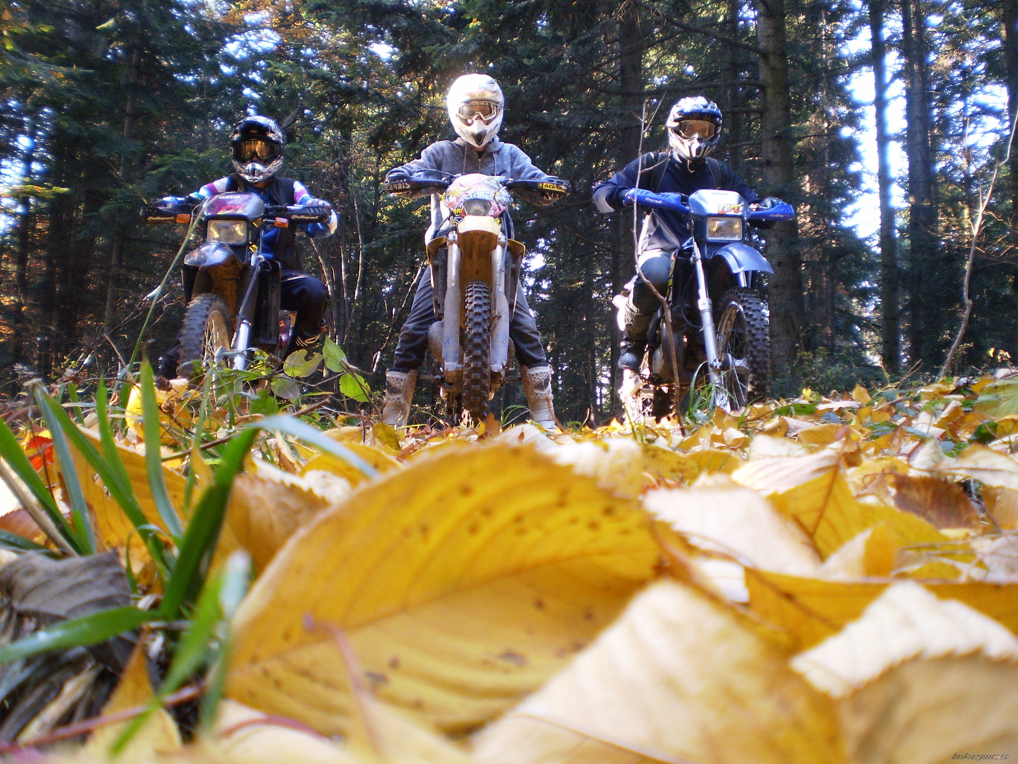 Bike Photo 2348307