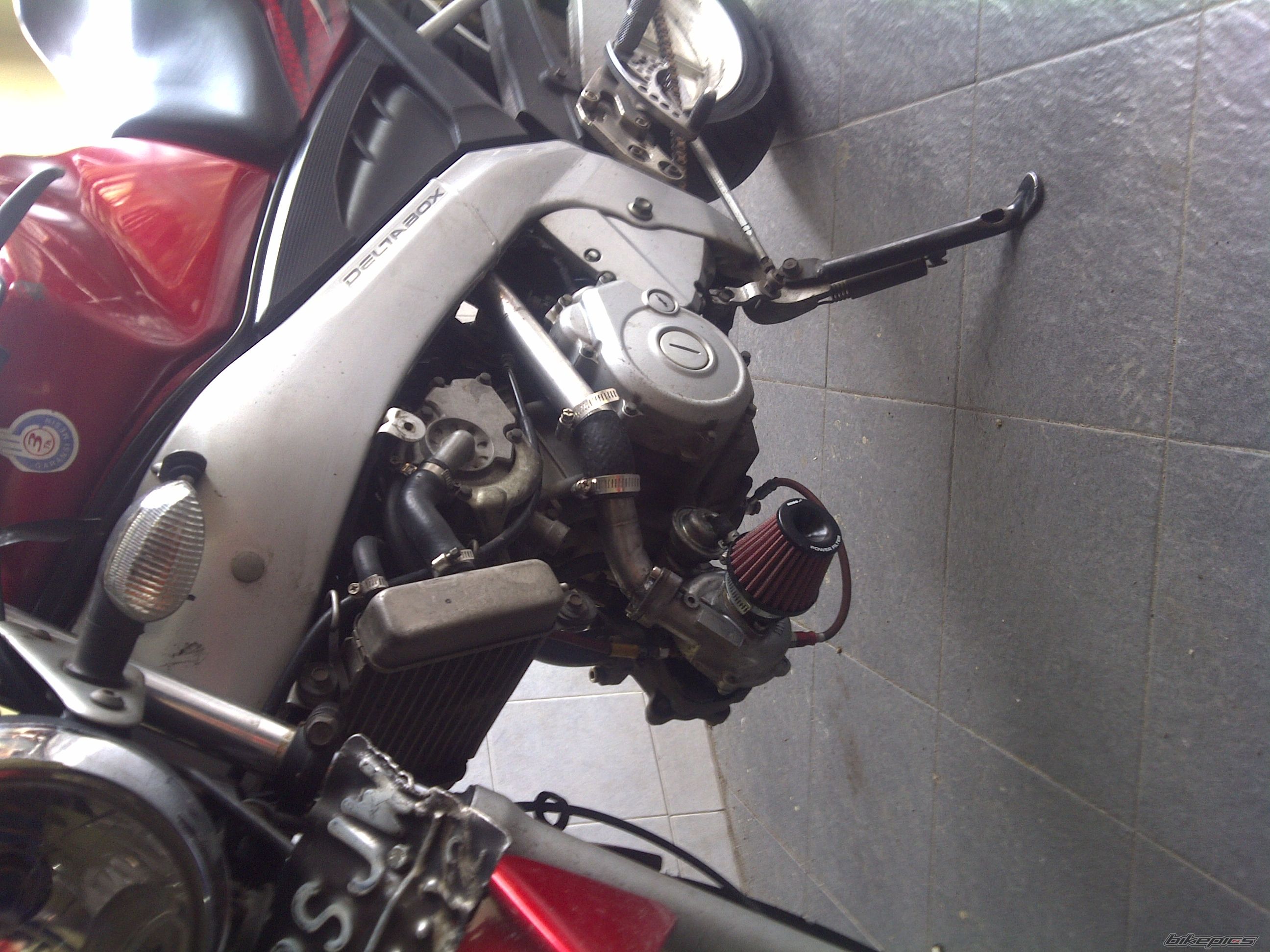 Photo 2348412
