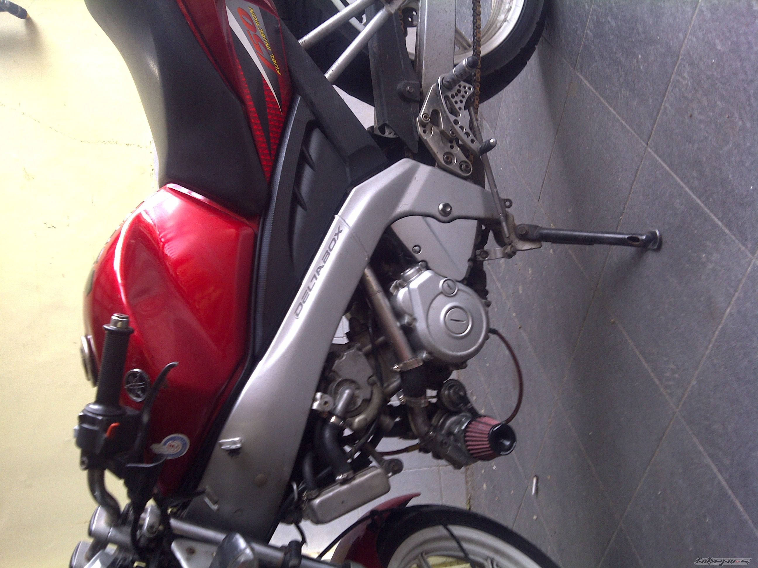 Photo 2348413